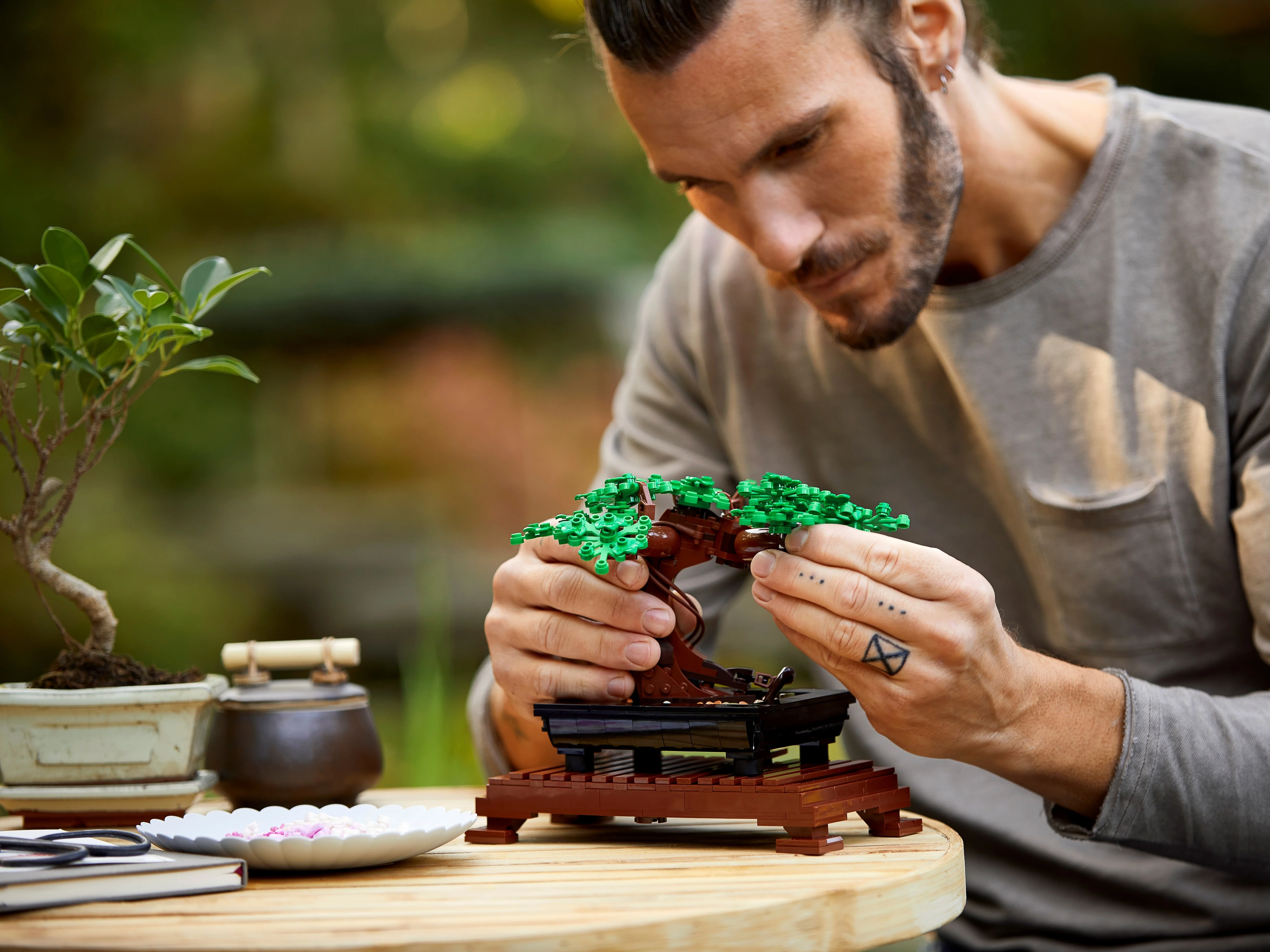 Bonsai Tree - Image 10