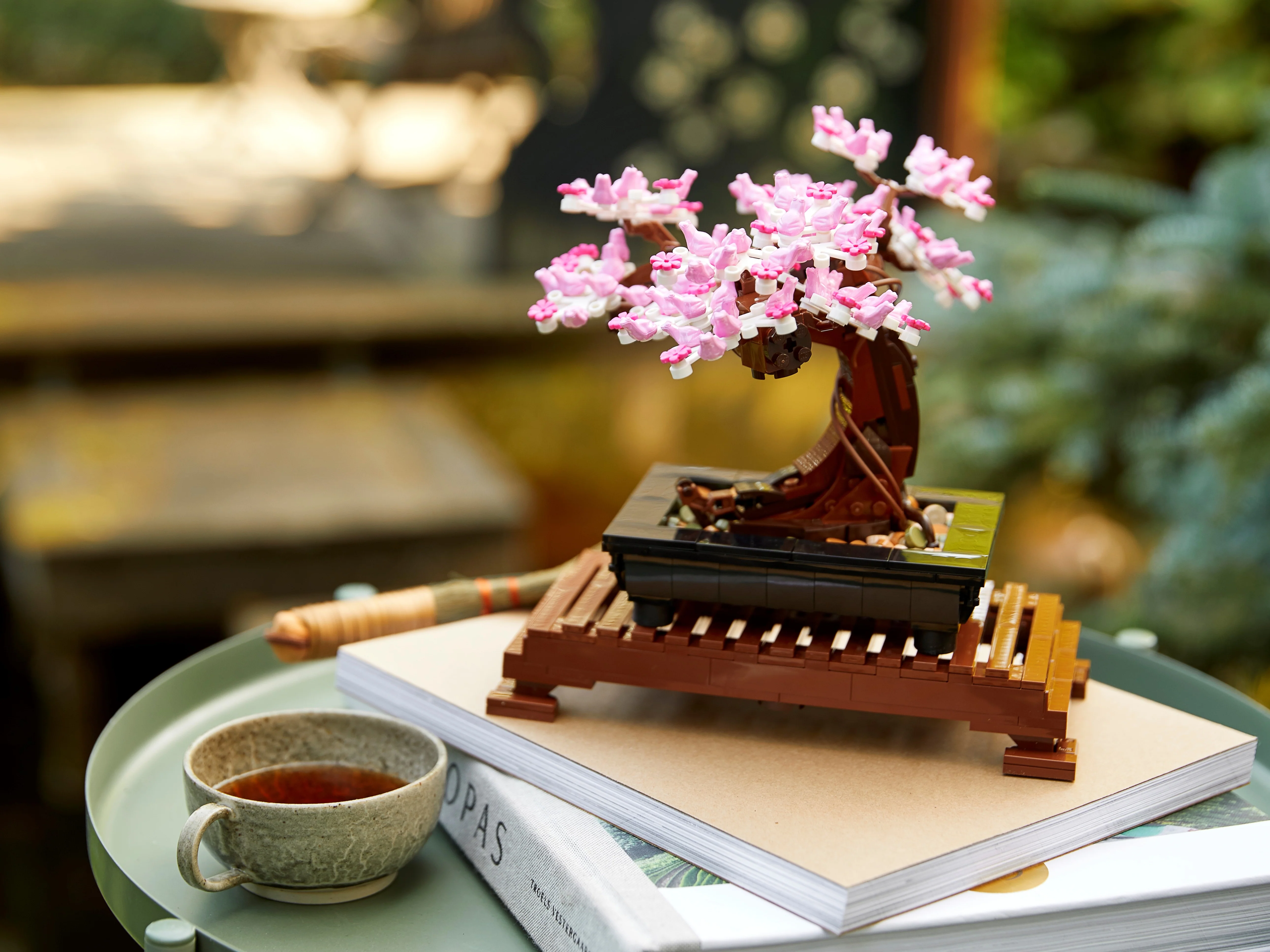 Bonsai Tree - Image 13