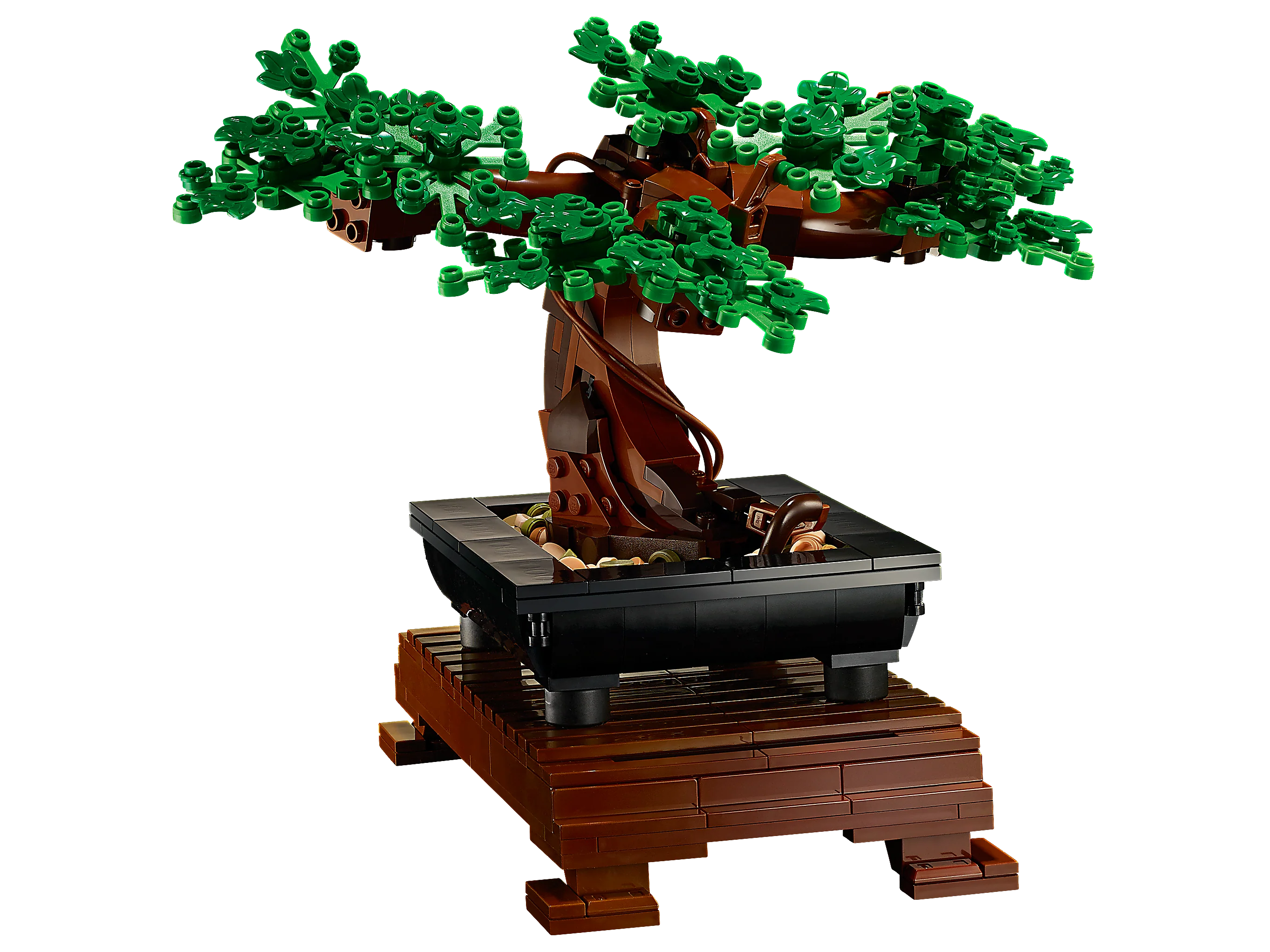 Bonsai Tree - Image 4