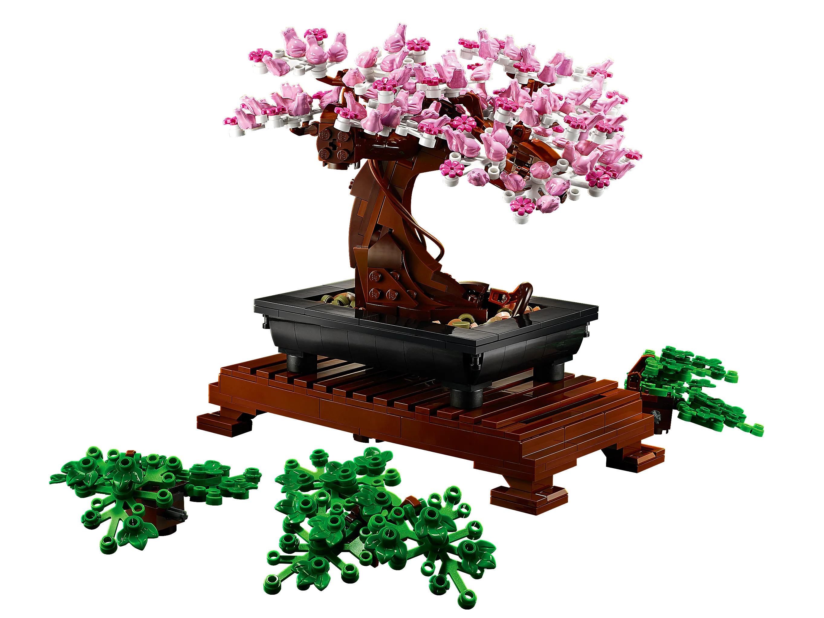 Bonsai Tree - Image 5