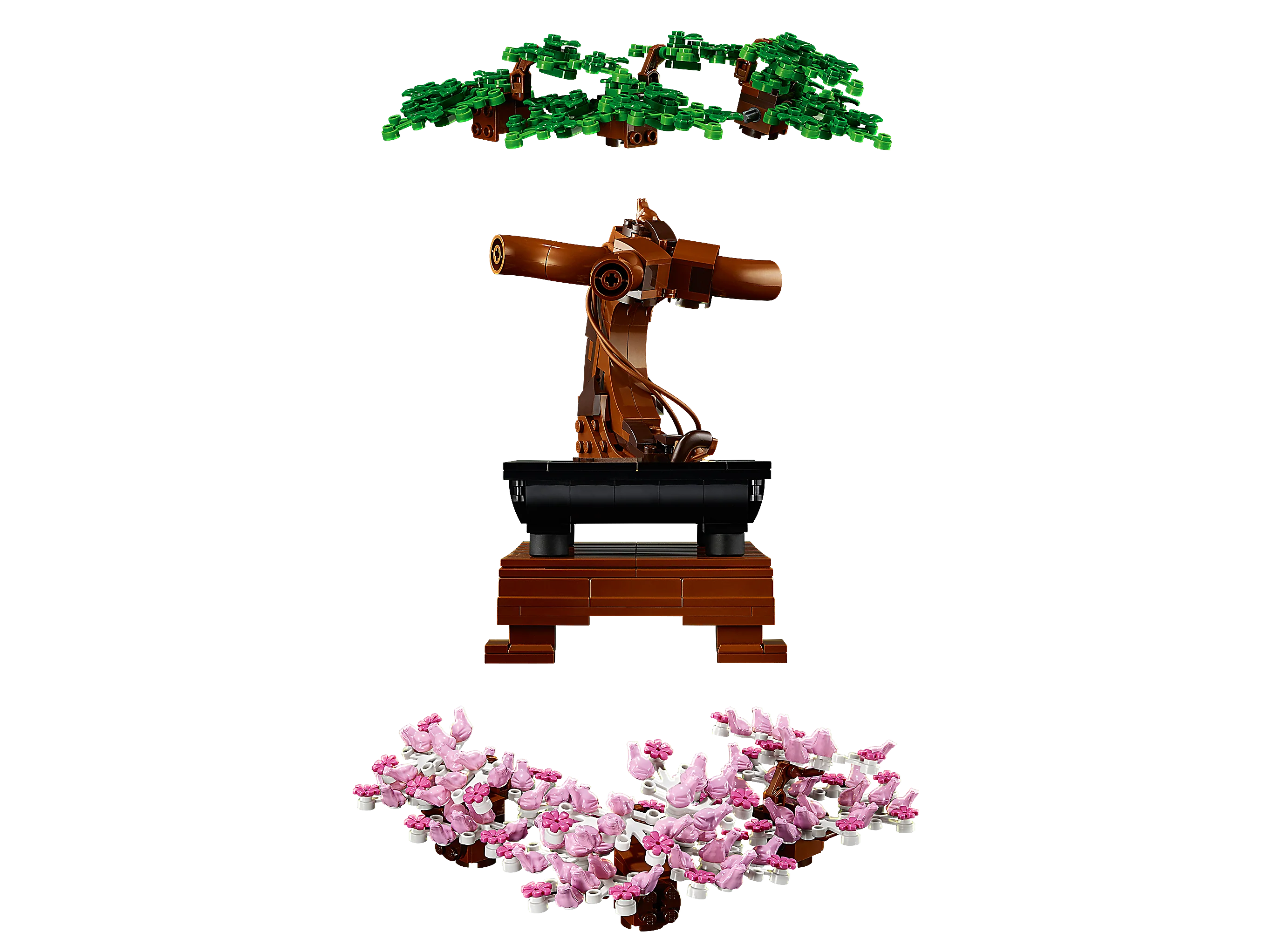 Bonsai Tree - Image 6