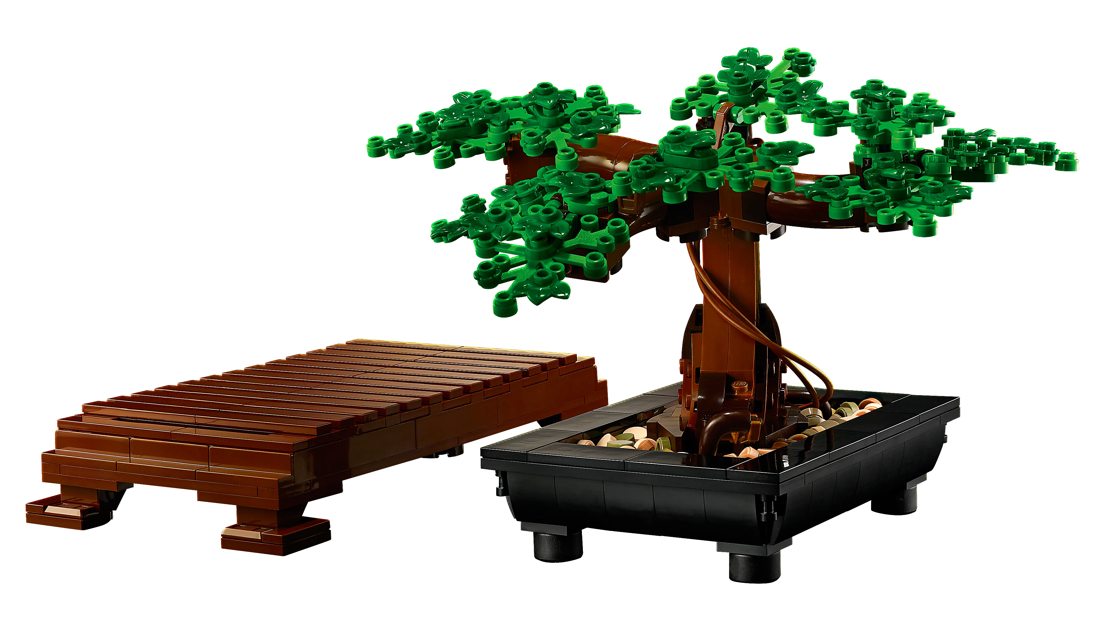 Bonsai Tree - Image 7
