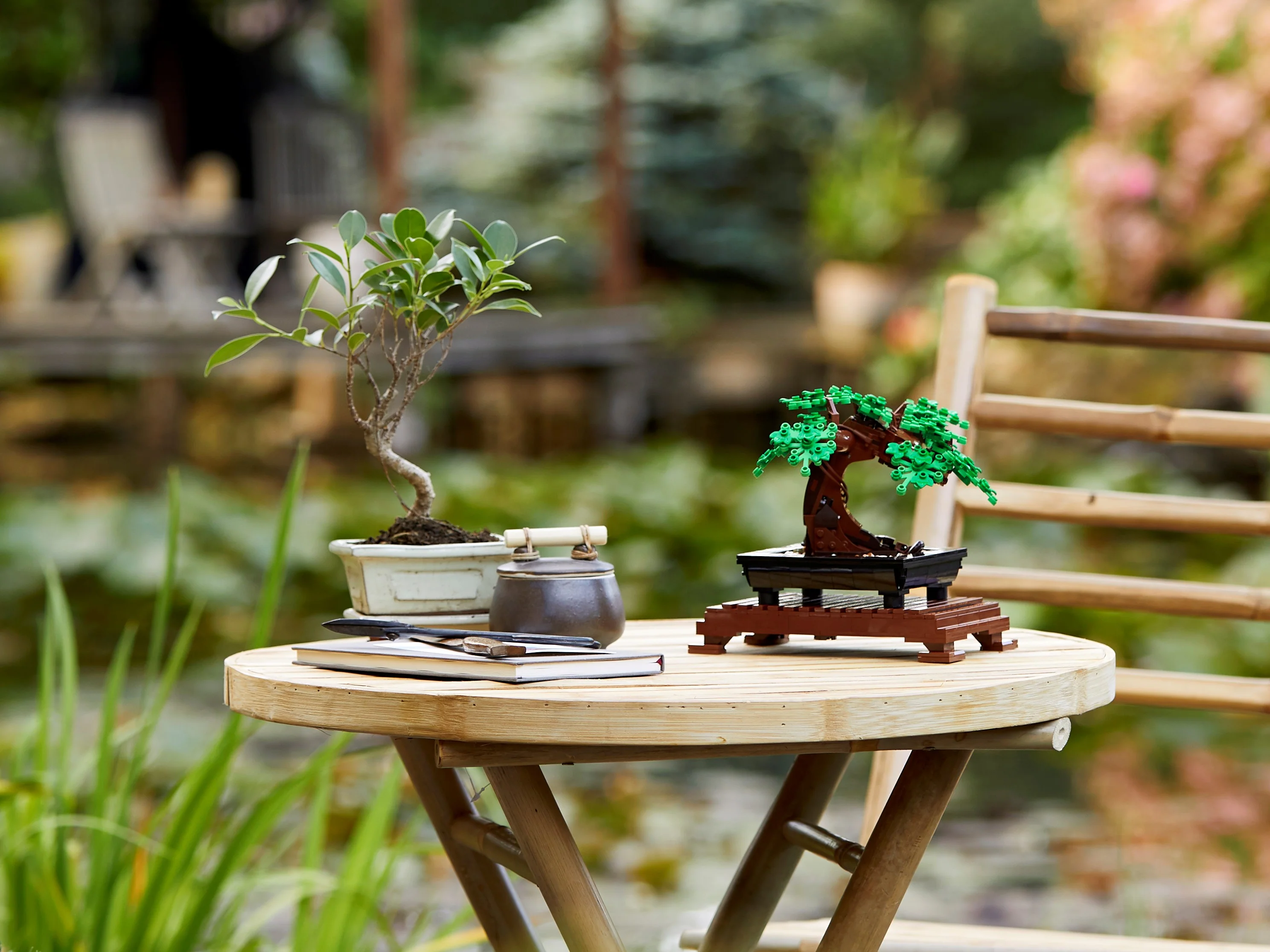 Bonsai Tree - Image 9