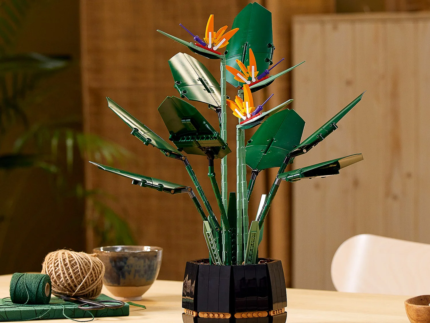 Bird of Paradise - Image 10
