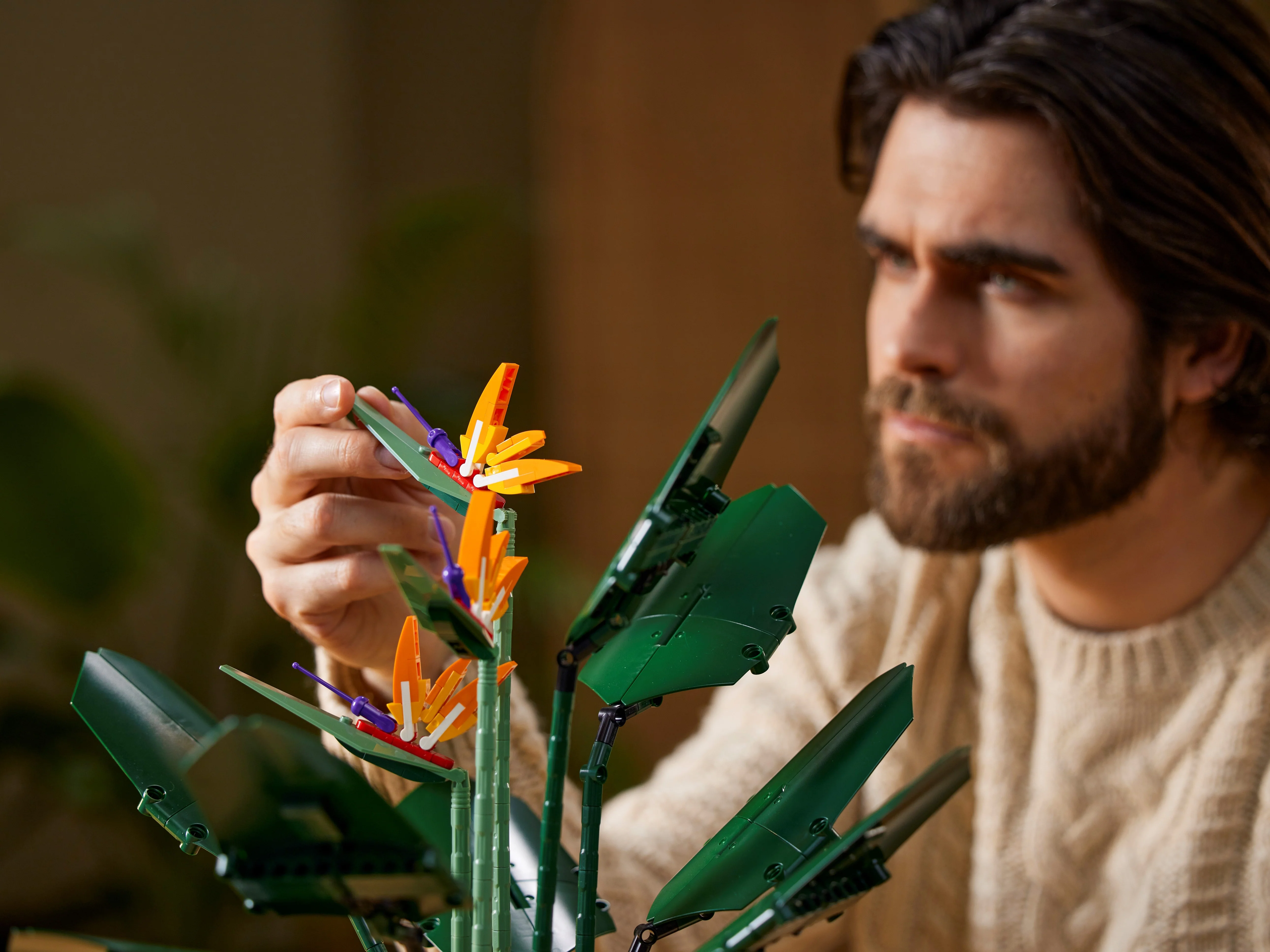 Bird of Paradise - Image 13