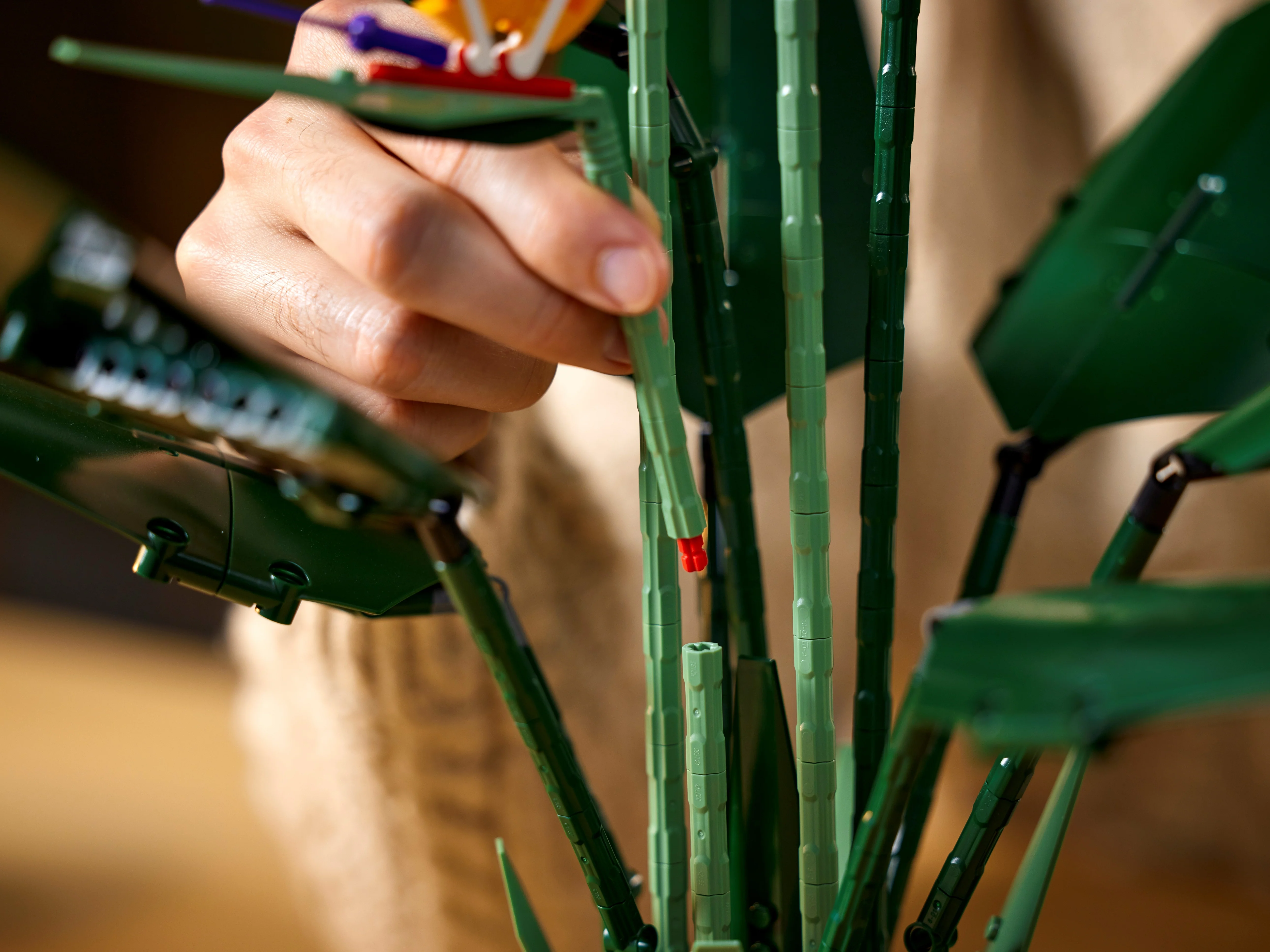 Bird of Paradise - Image 15
