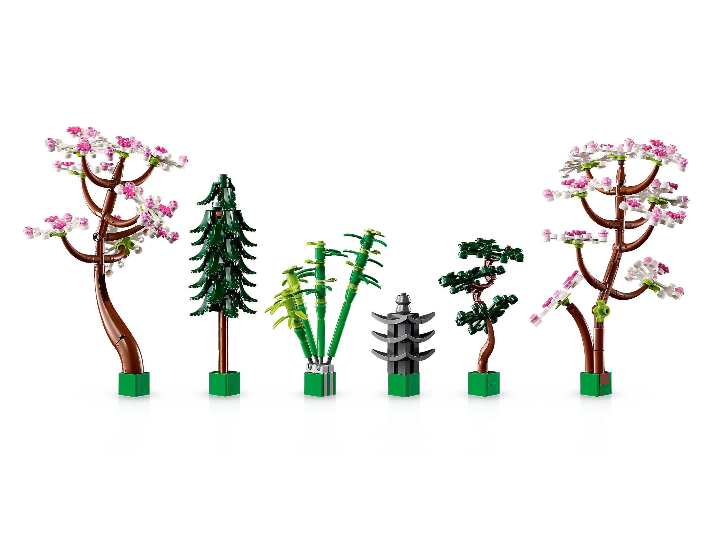 Tranquil Garden - Image 5