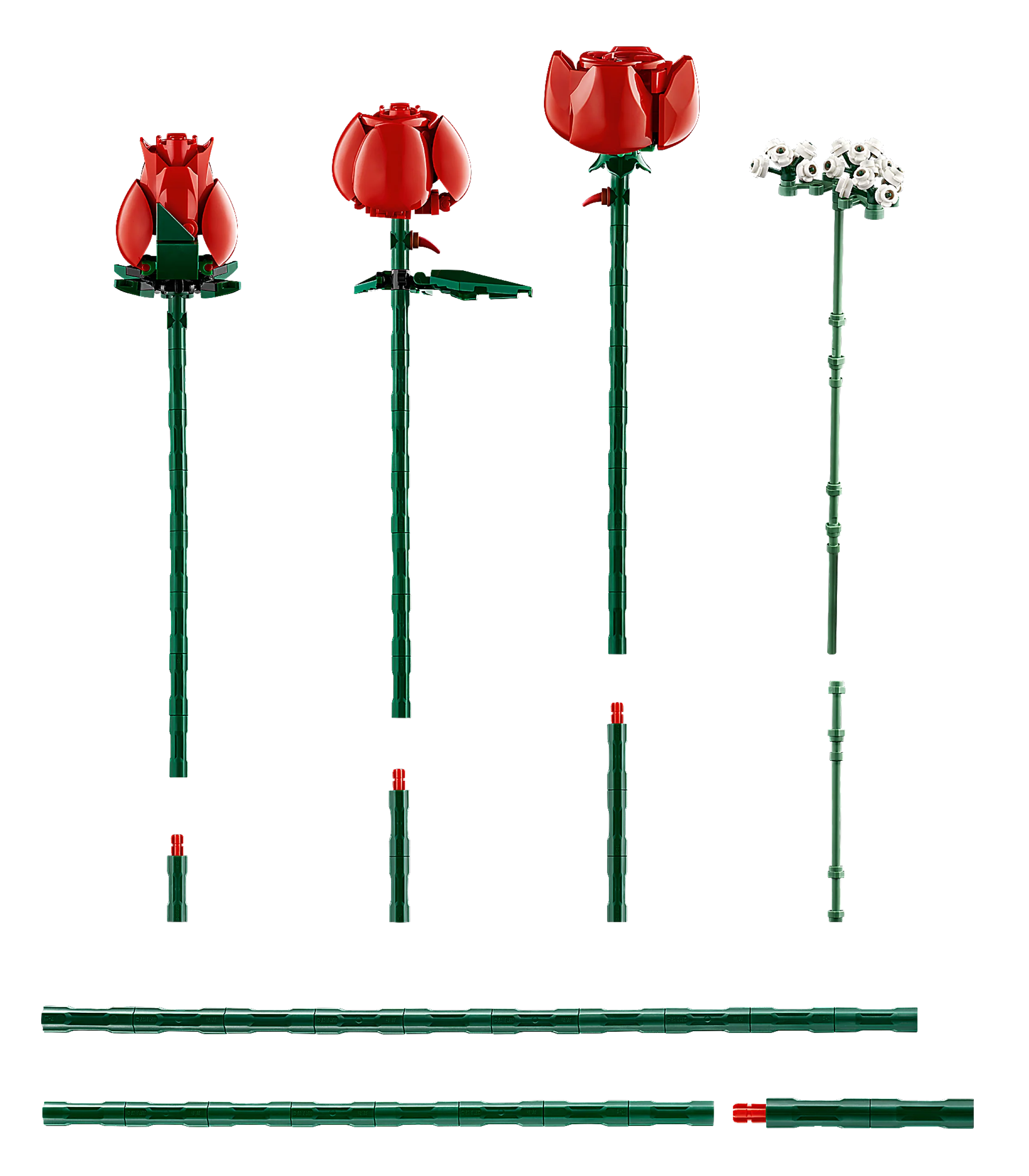 Bouquet of Roses - Image 5