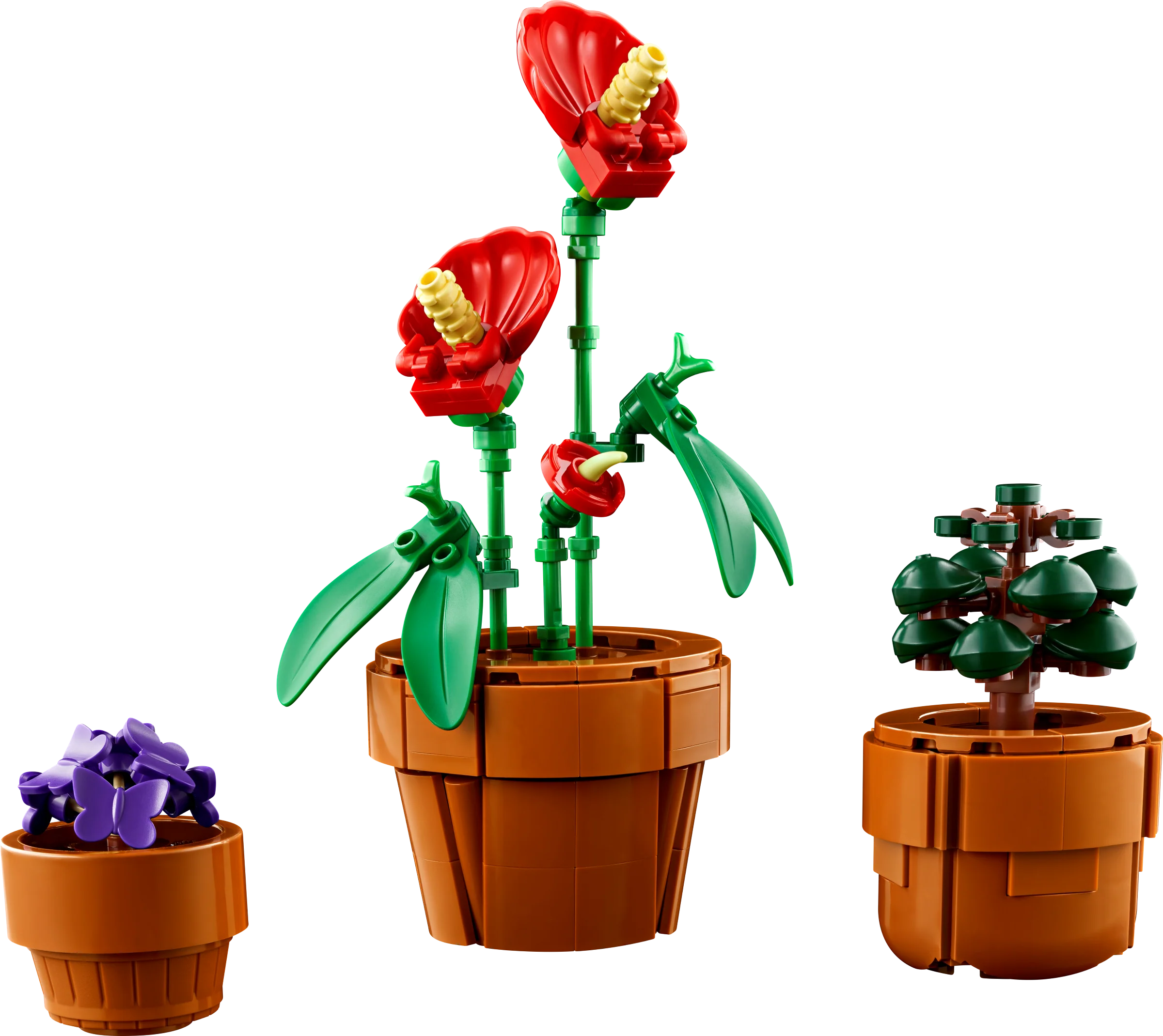 Tiny Plants - Image 4