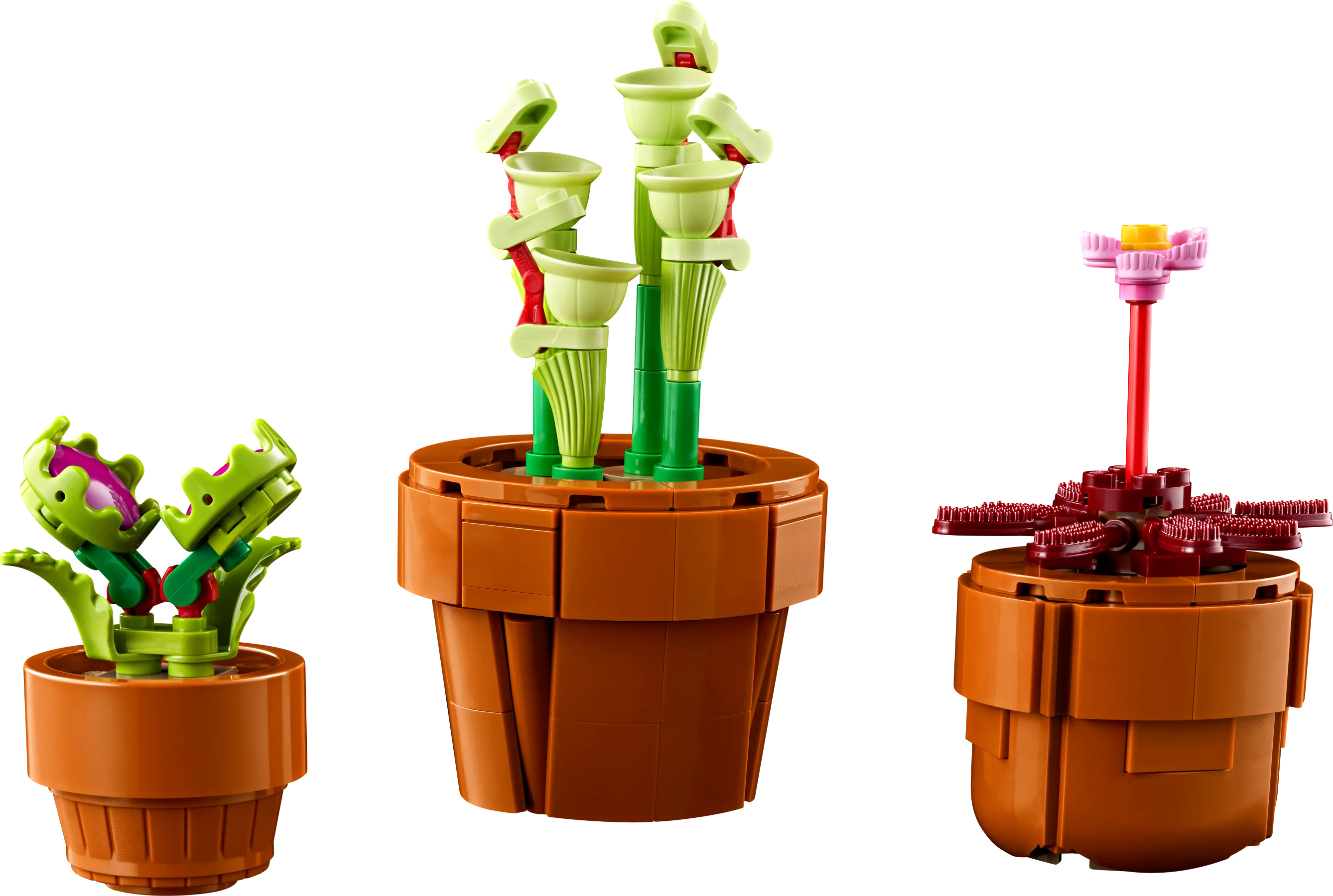 Tiny Plants - Image 5