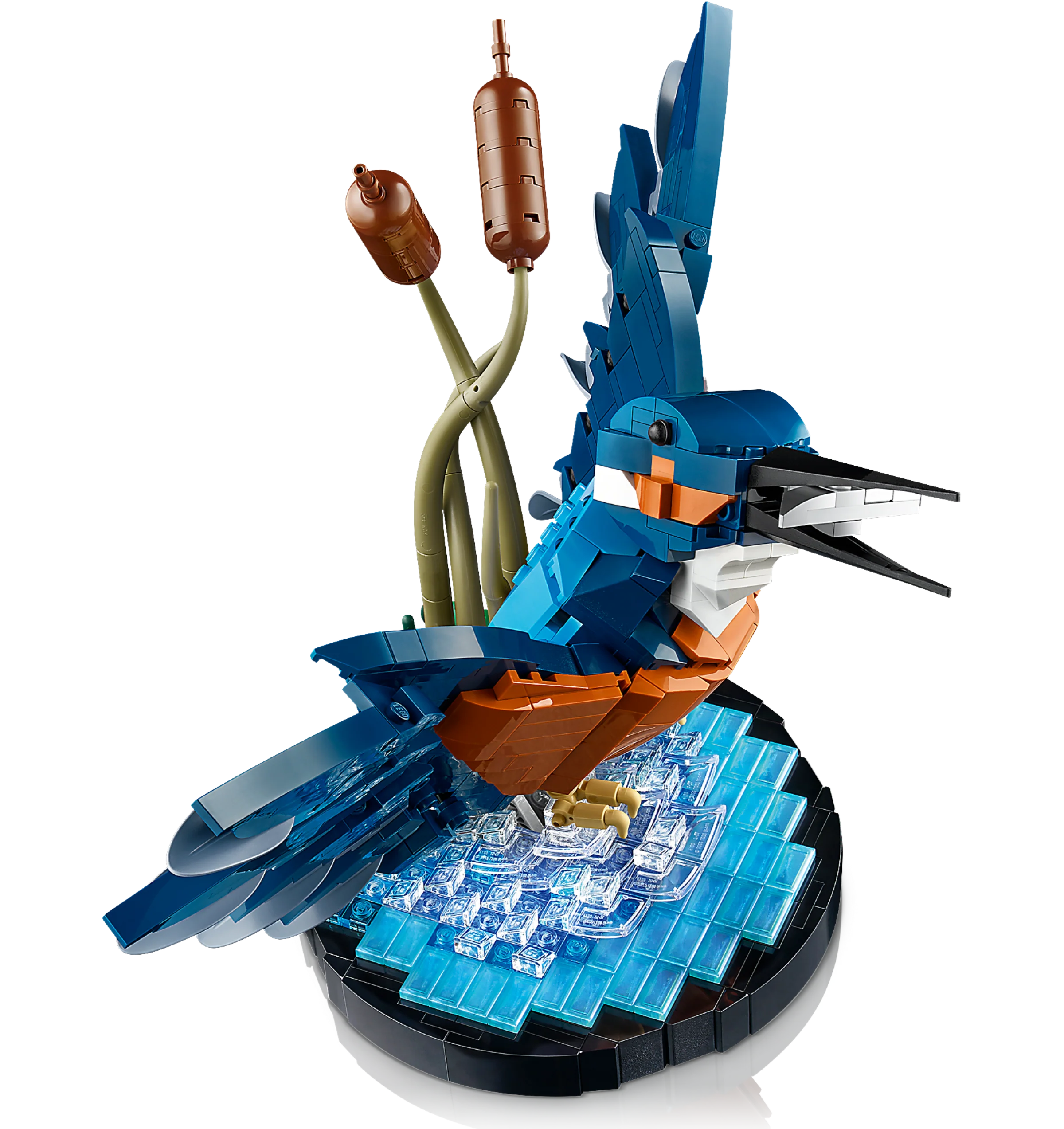 Kingfisher - Image 3