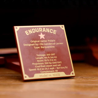 The Endurance - Image 19