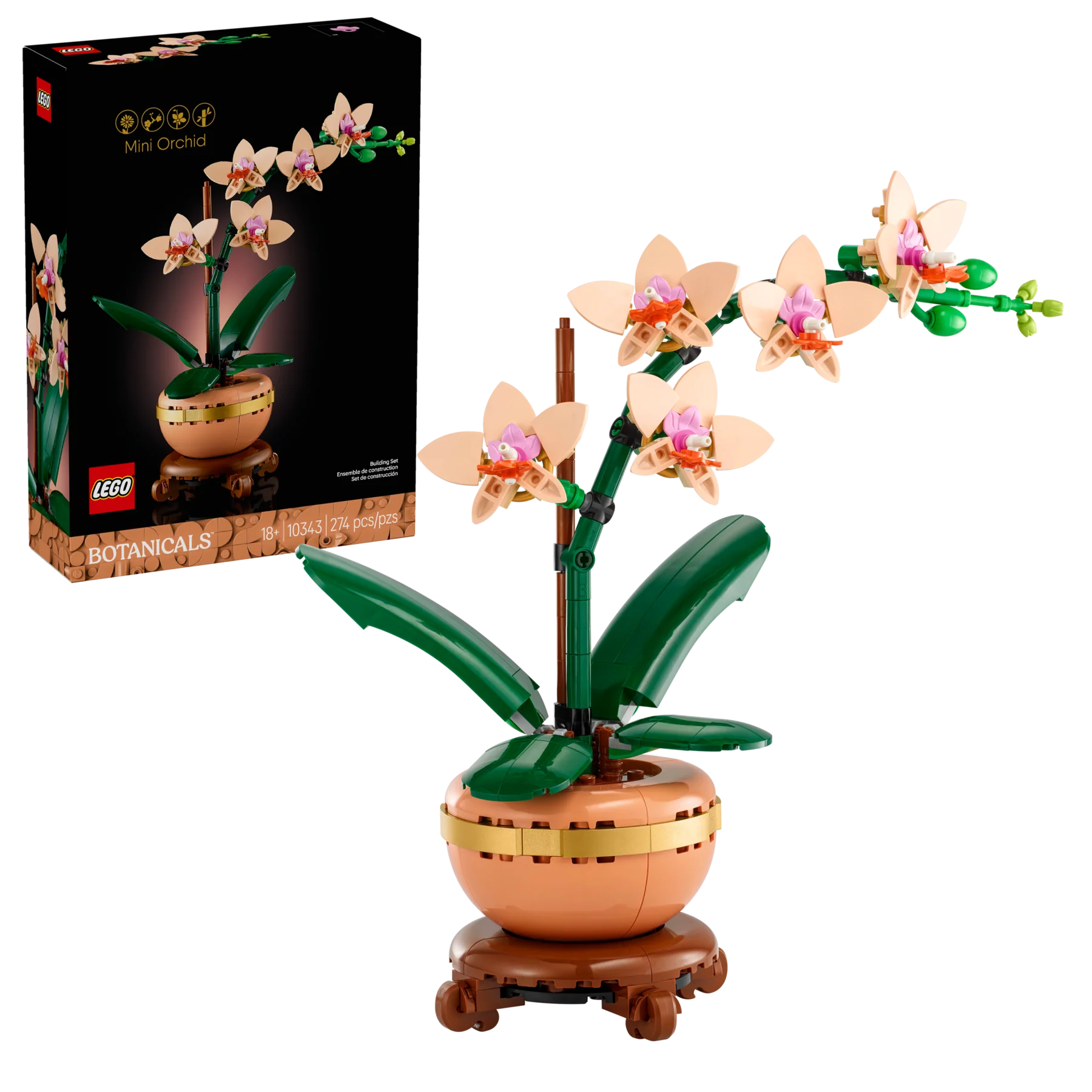 Mini Orchid - Image 2