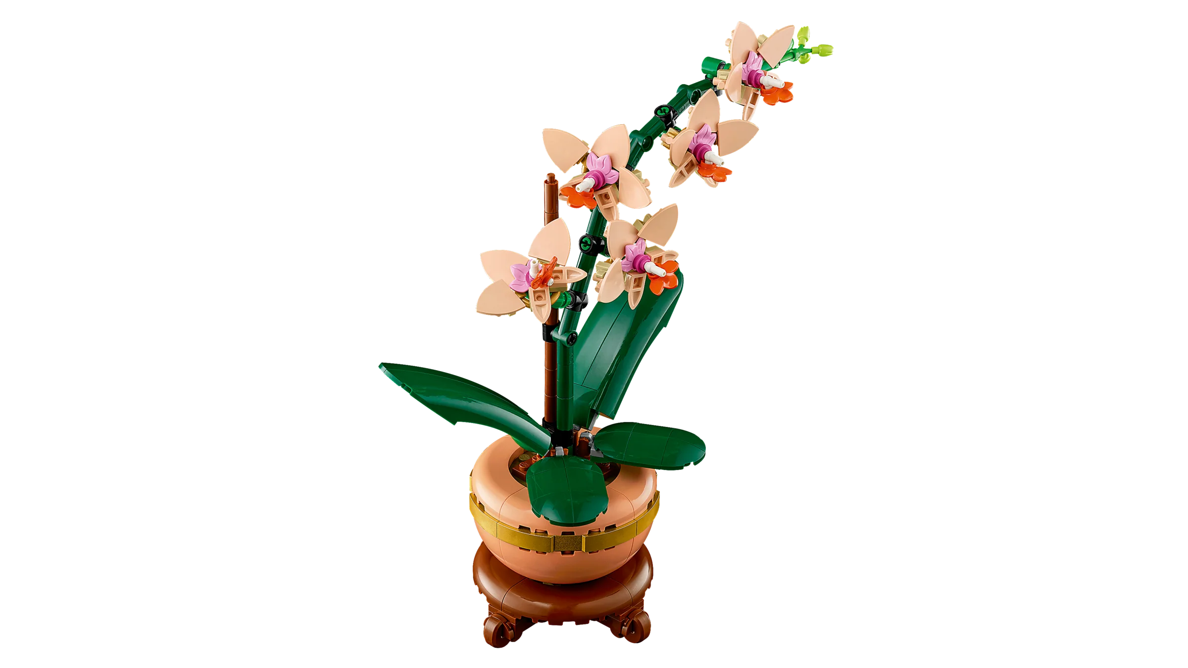 Mini Orchid - Image 3
