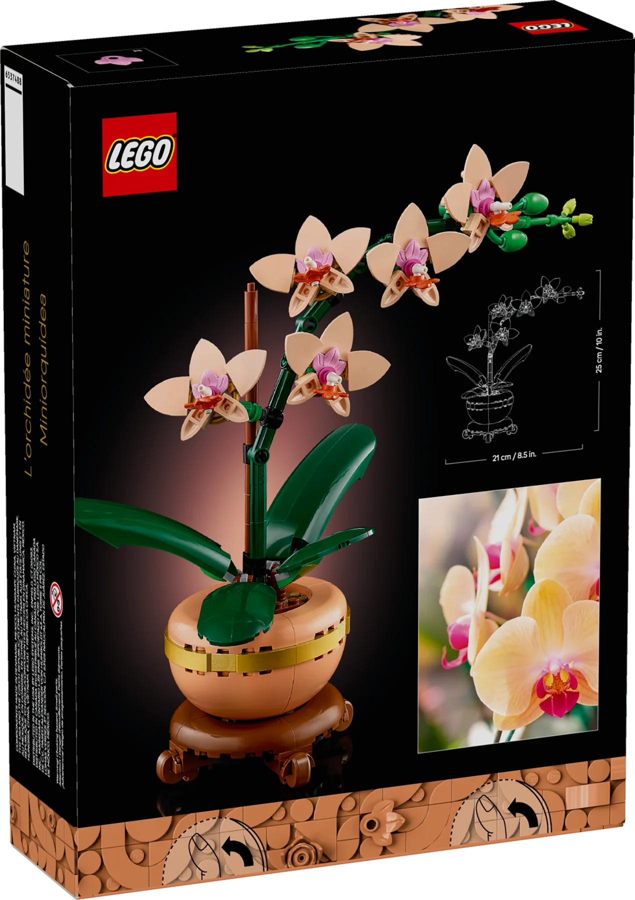 Mini Orchid - Image 9