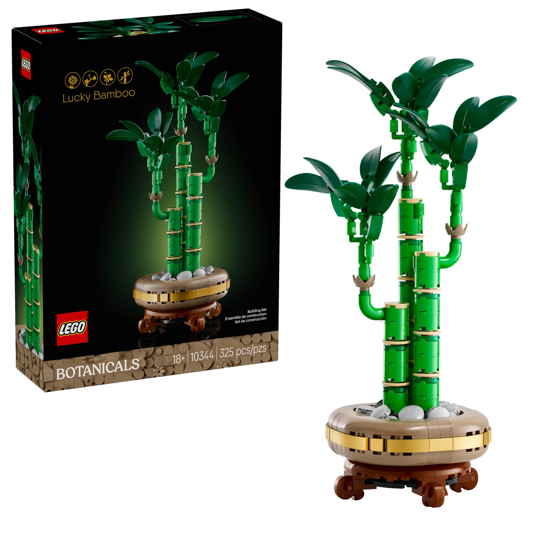 Lucky Bamboo - Image 2