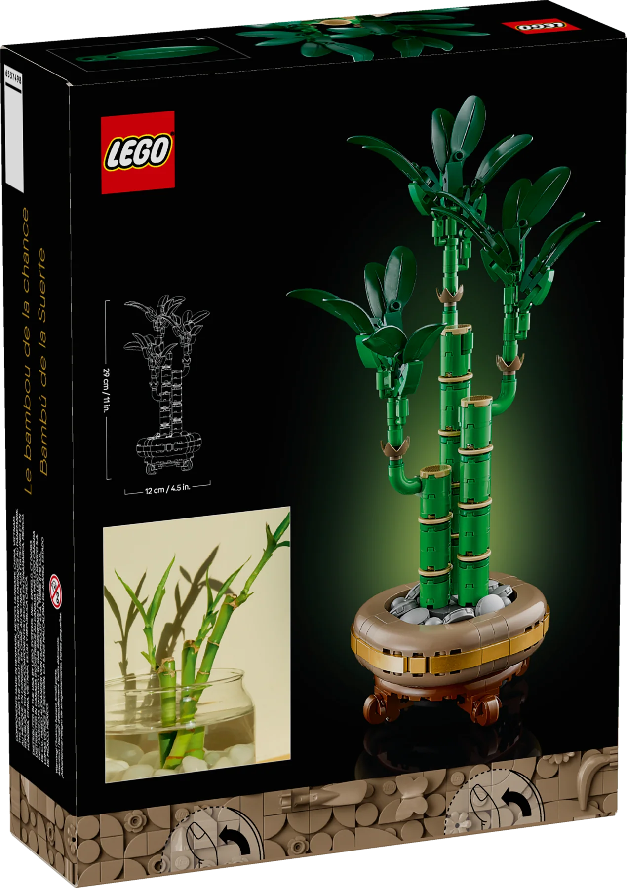 Lucky Bamboo - Image 9