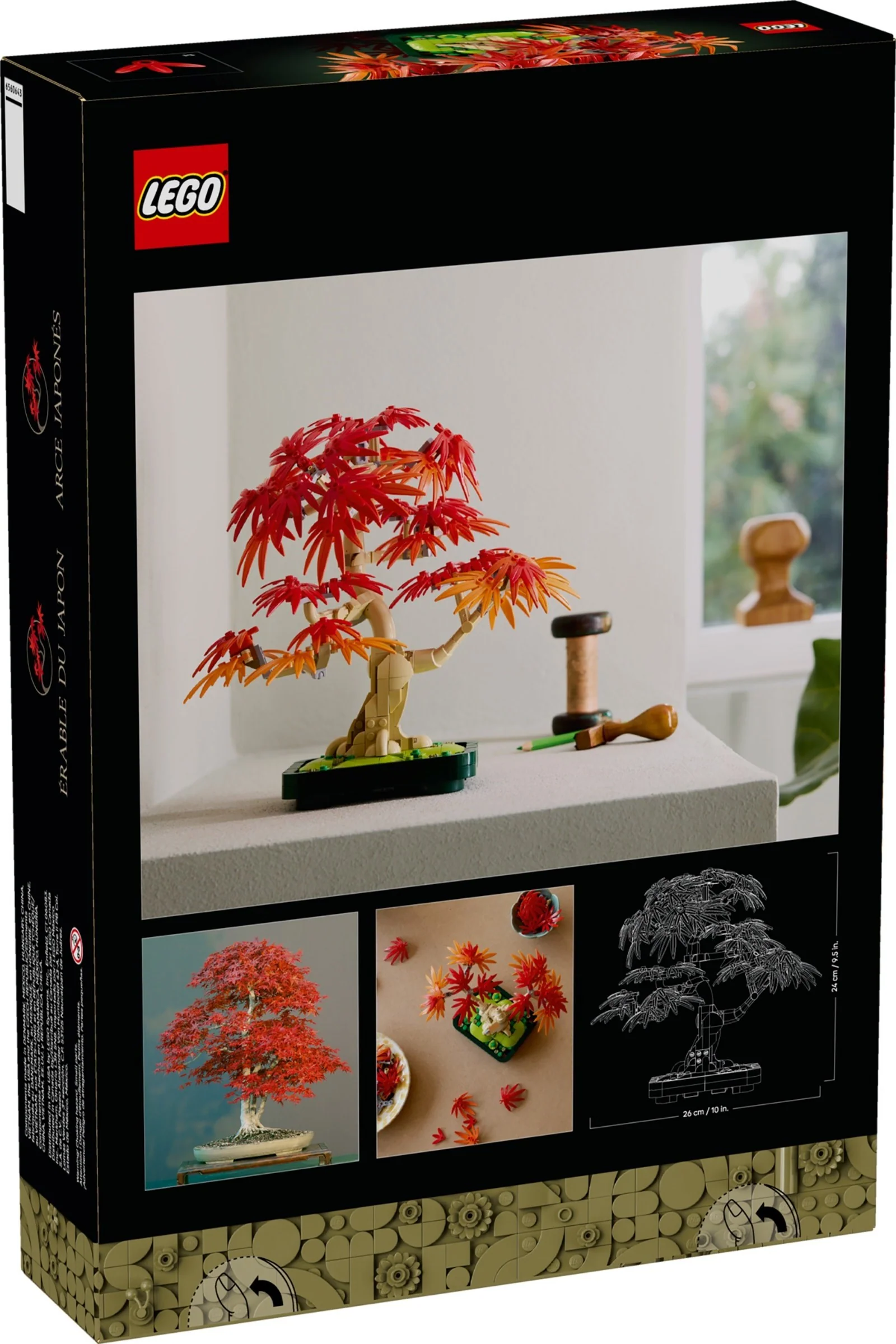 Japanese Maple Tree - Image 2