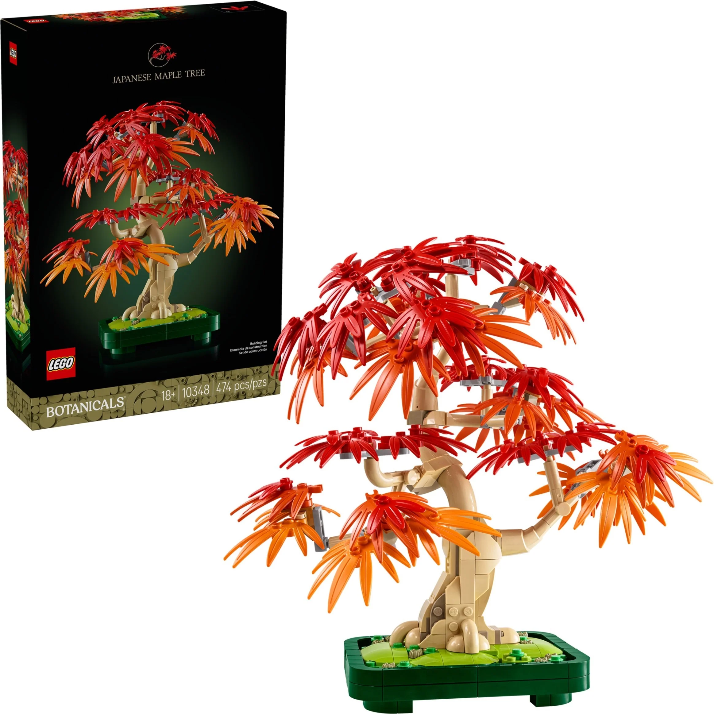 Japanese Maple Tree - Image 3