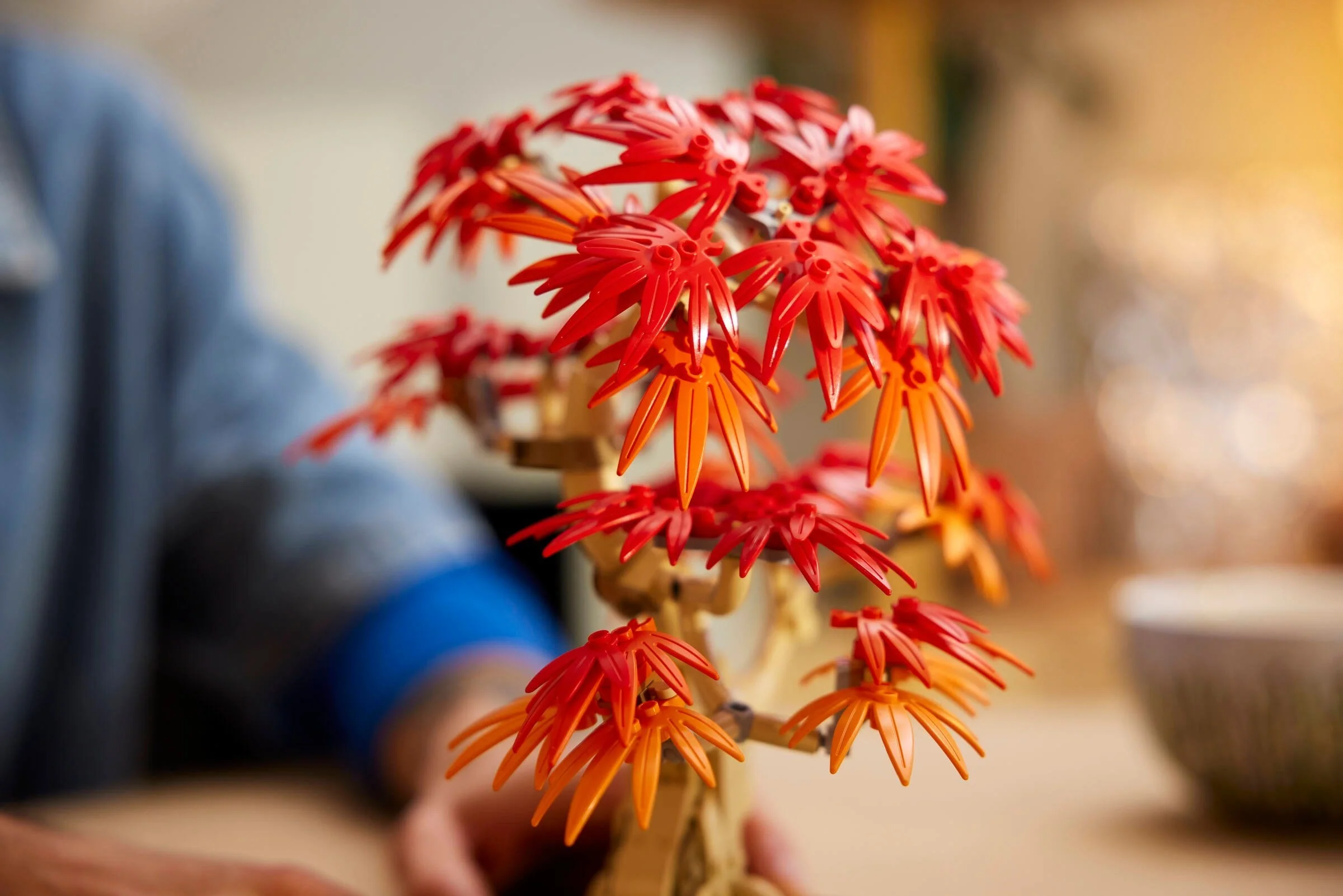 Japanese Maple Tree - Image 5