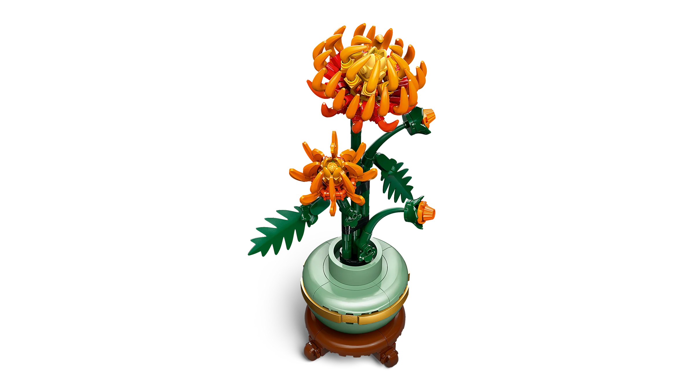 Chrysanthemum - Image 3