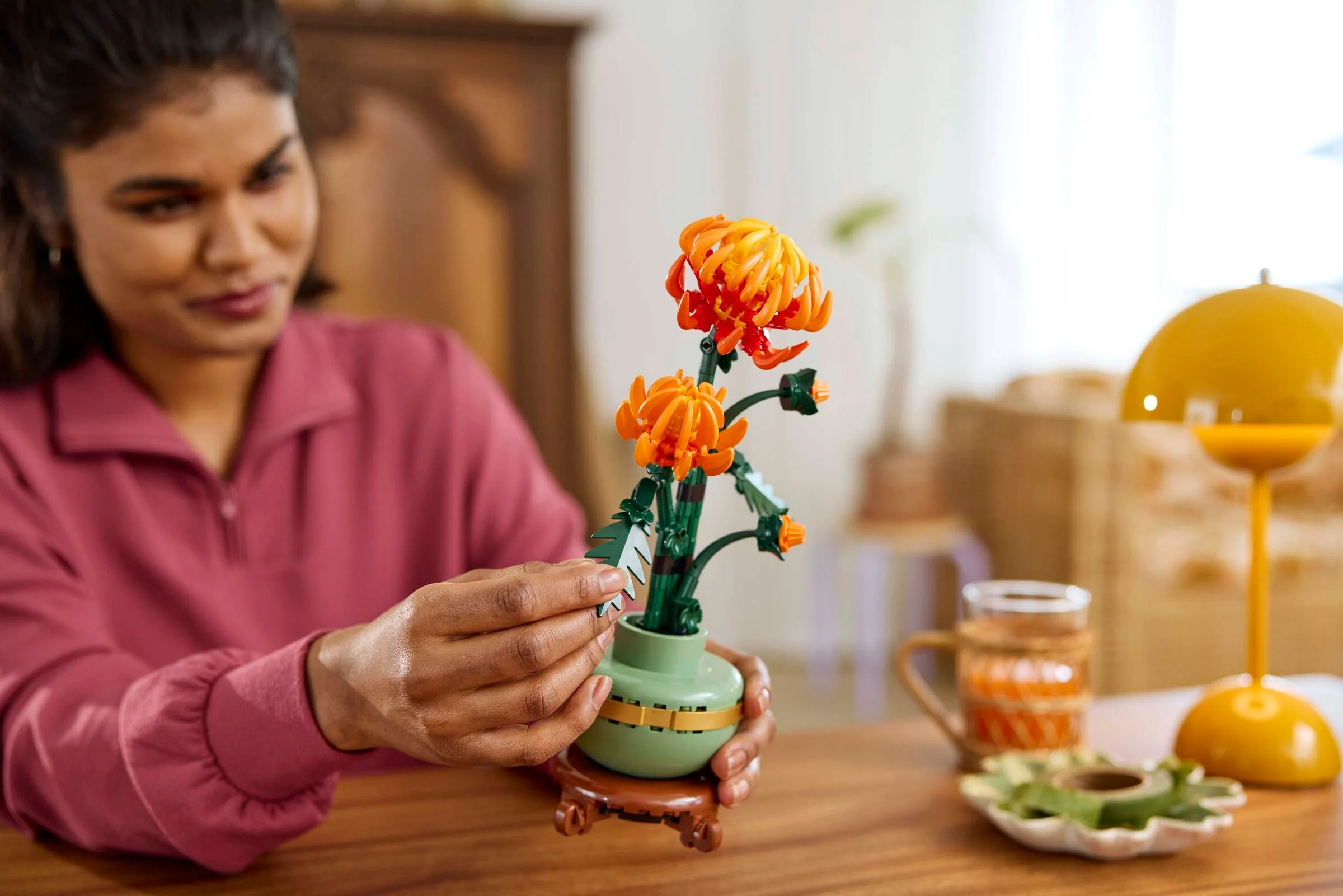Chrysanthemum - Image 6