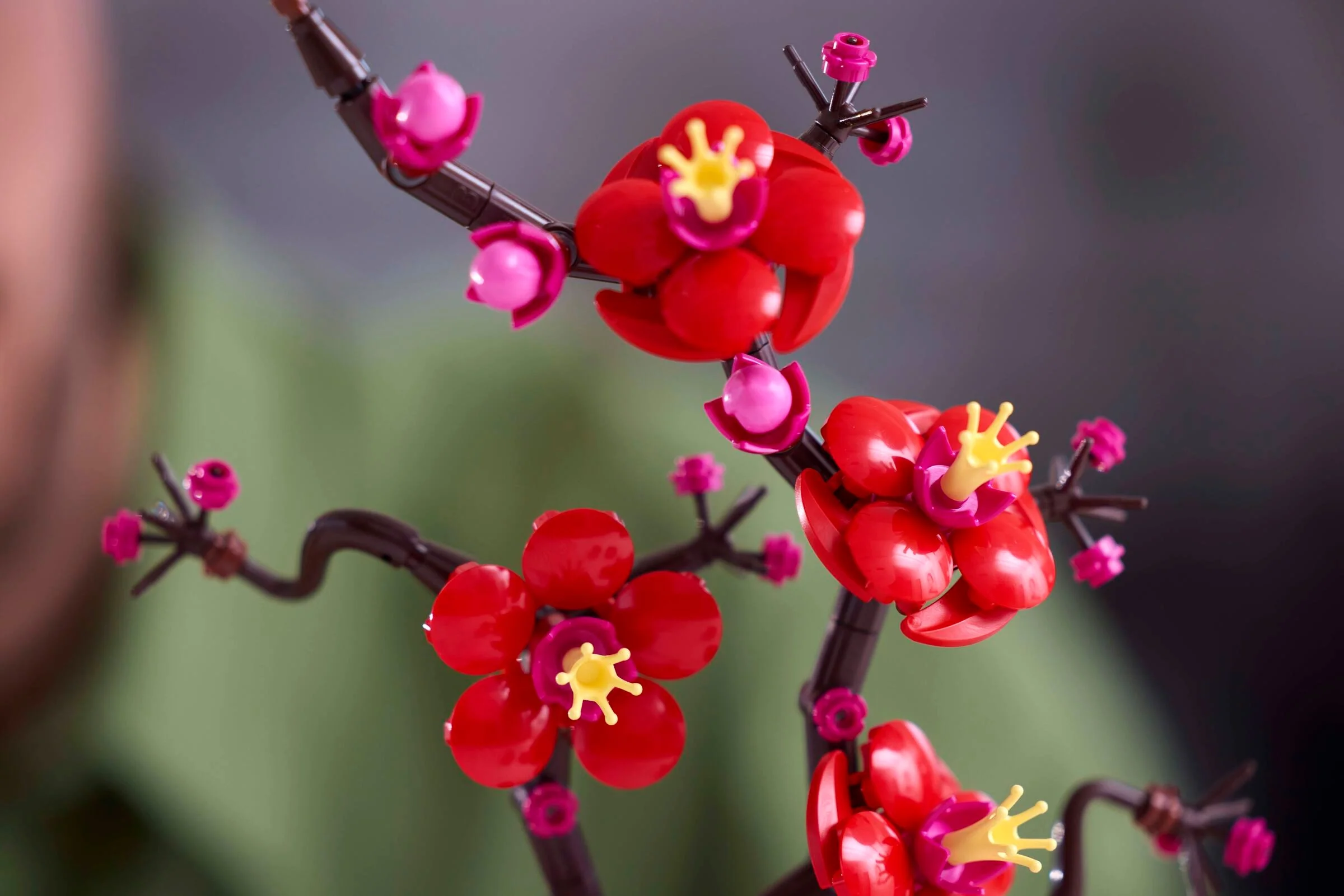 Plum Blossom - Image 8