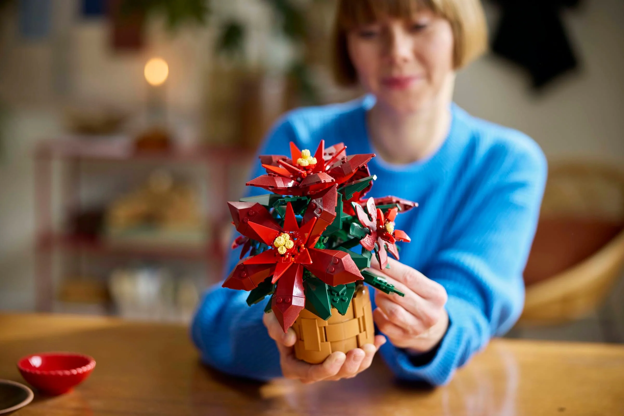 Poinsettia - Image 5
