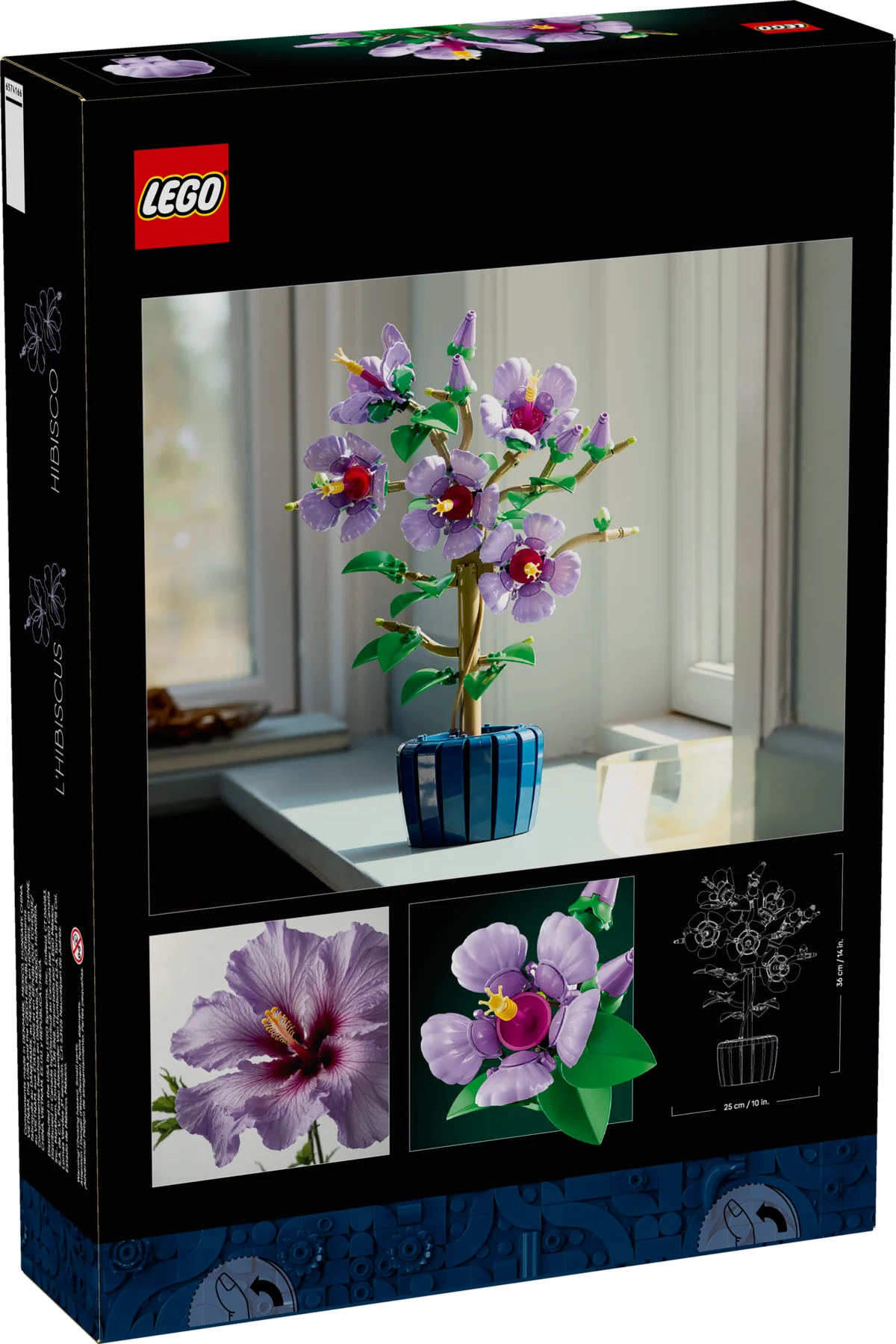 Hibiscus - Image 12