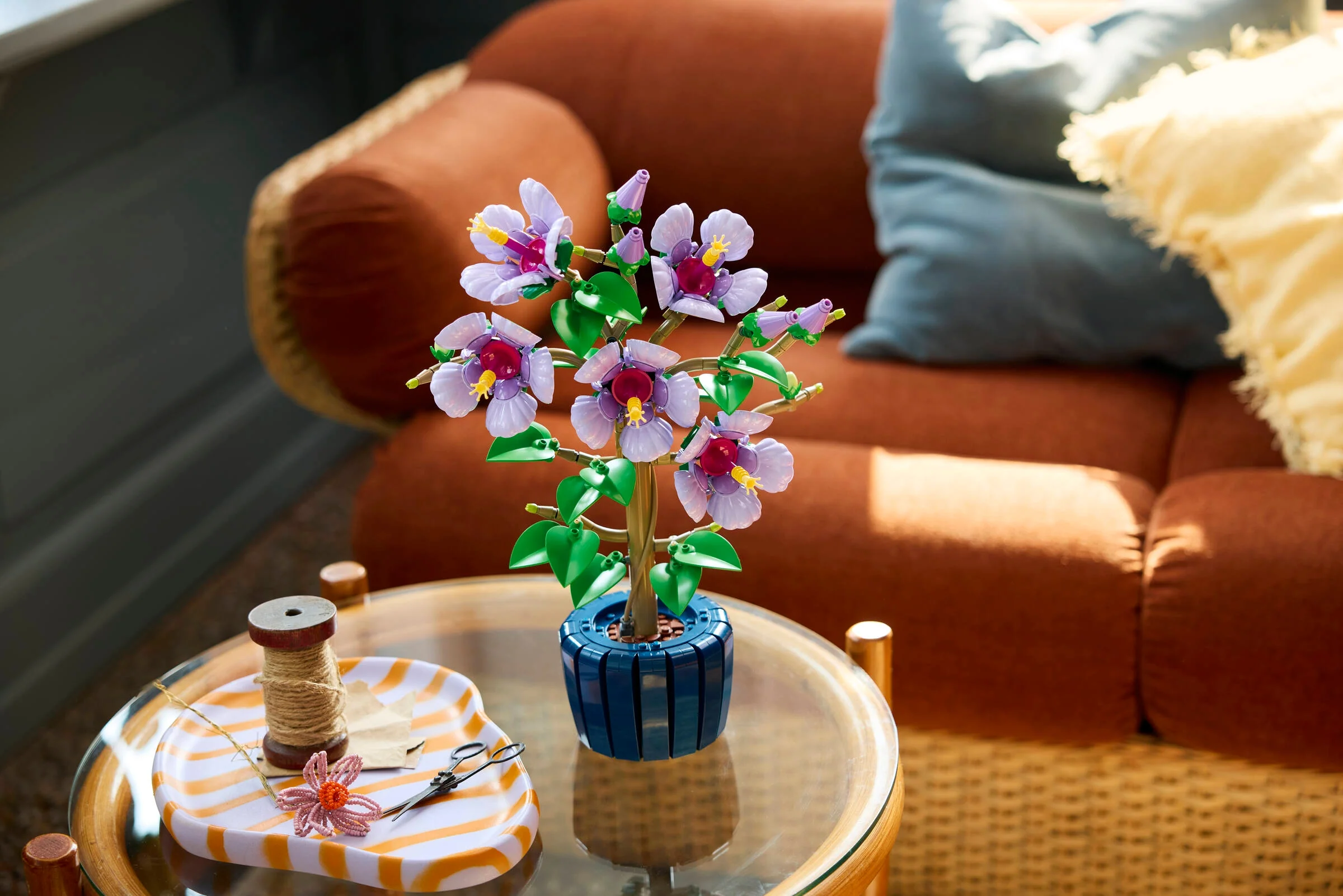 Hibiscus - Image 4
