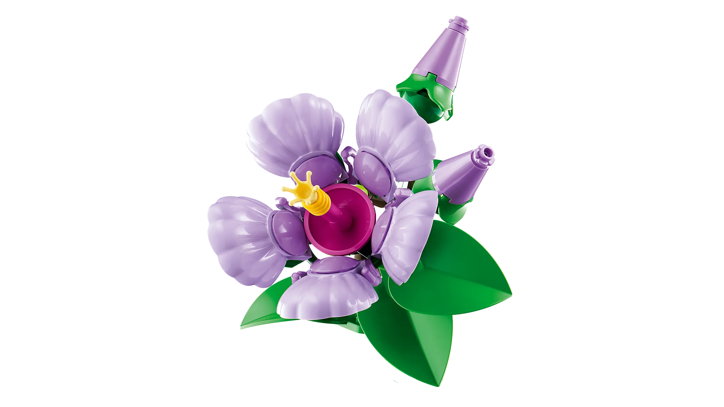 Hibiscus - Image 8