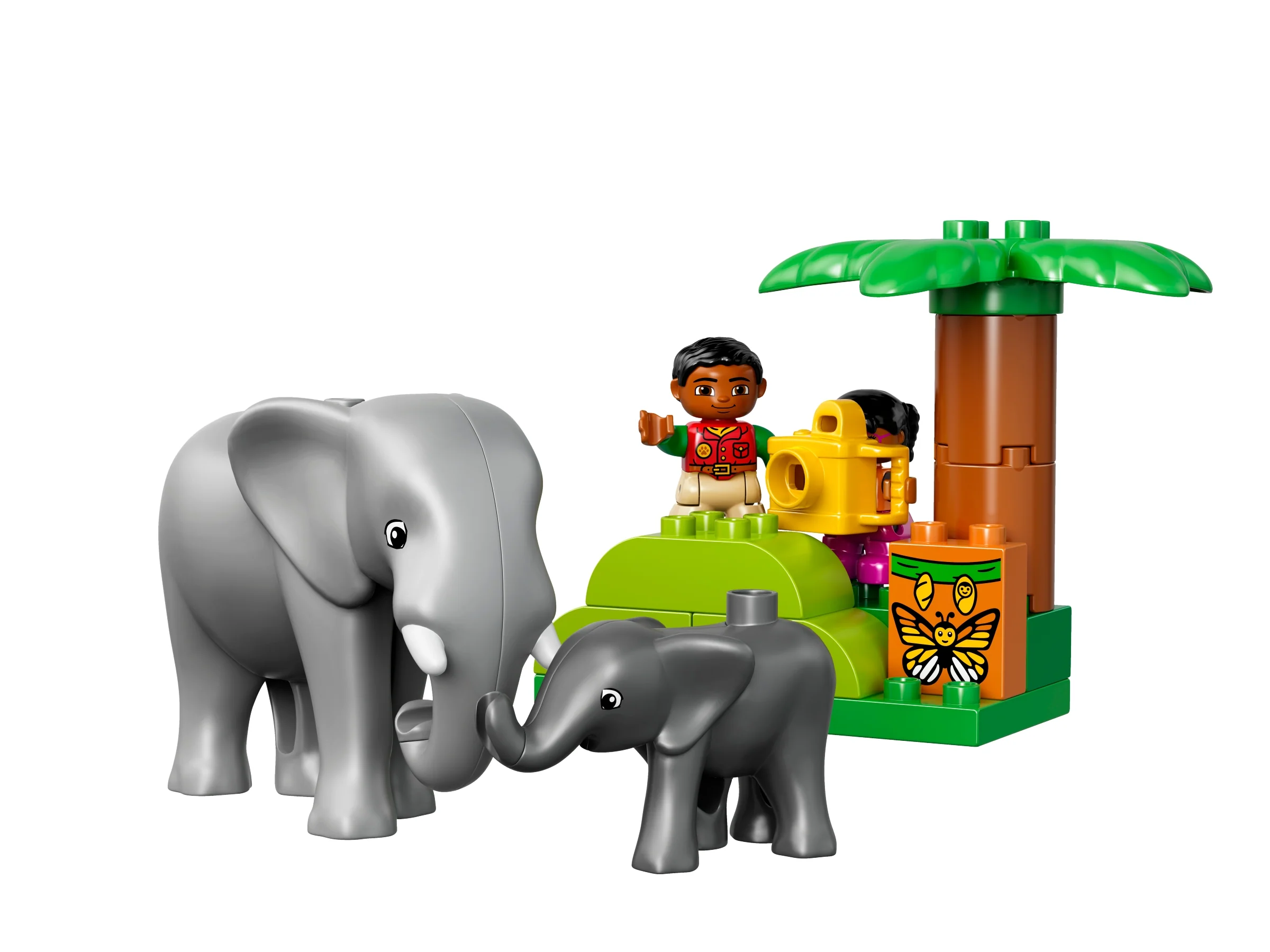 Jungle - Image 7