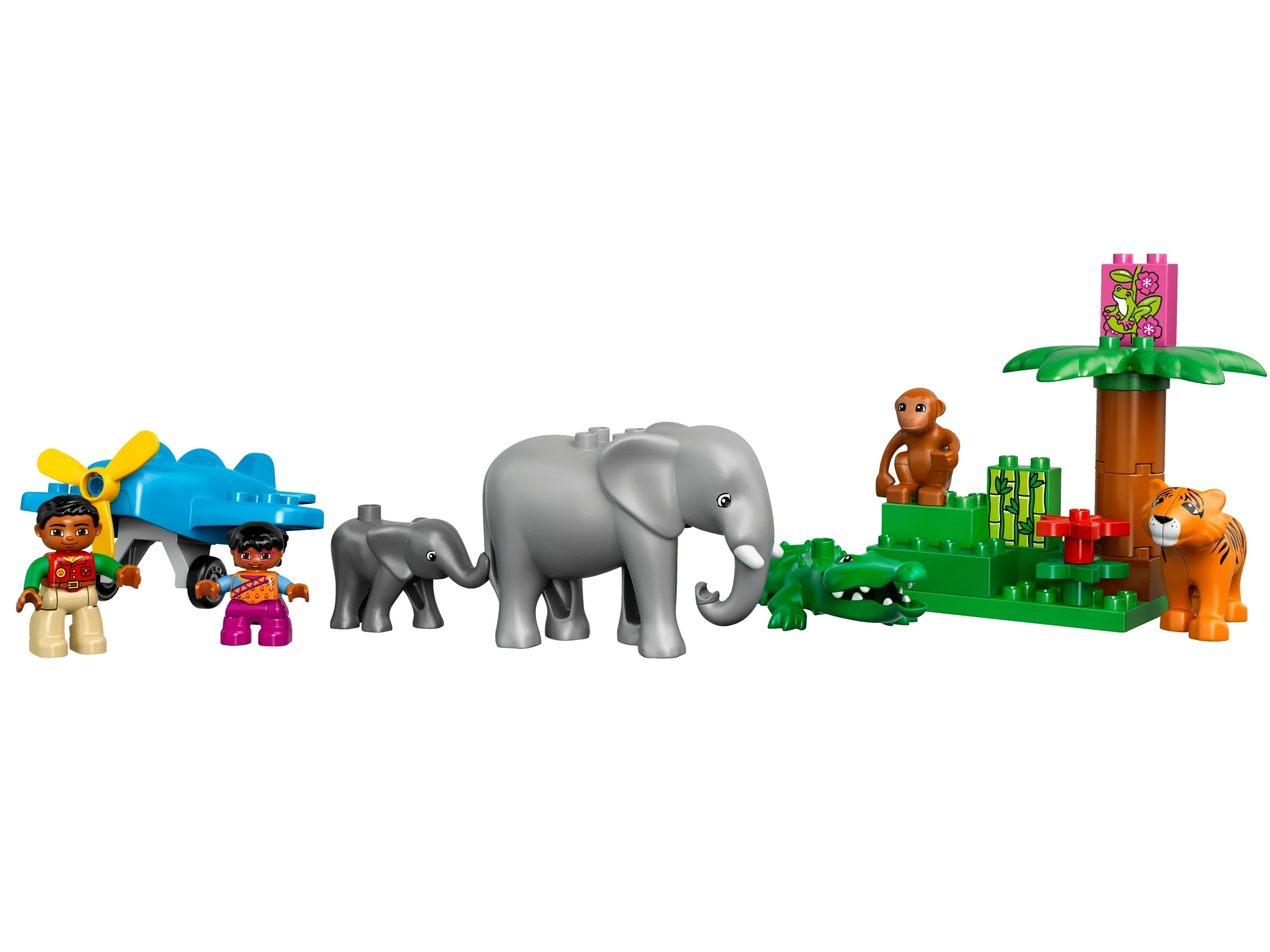 Jungle - Image 8