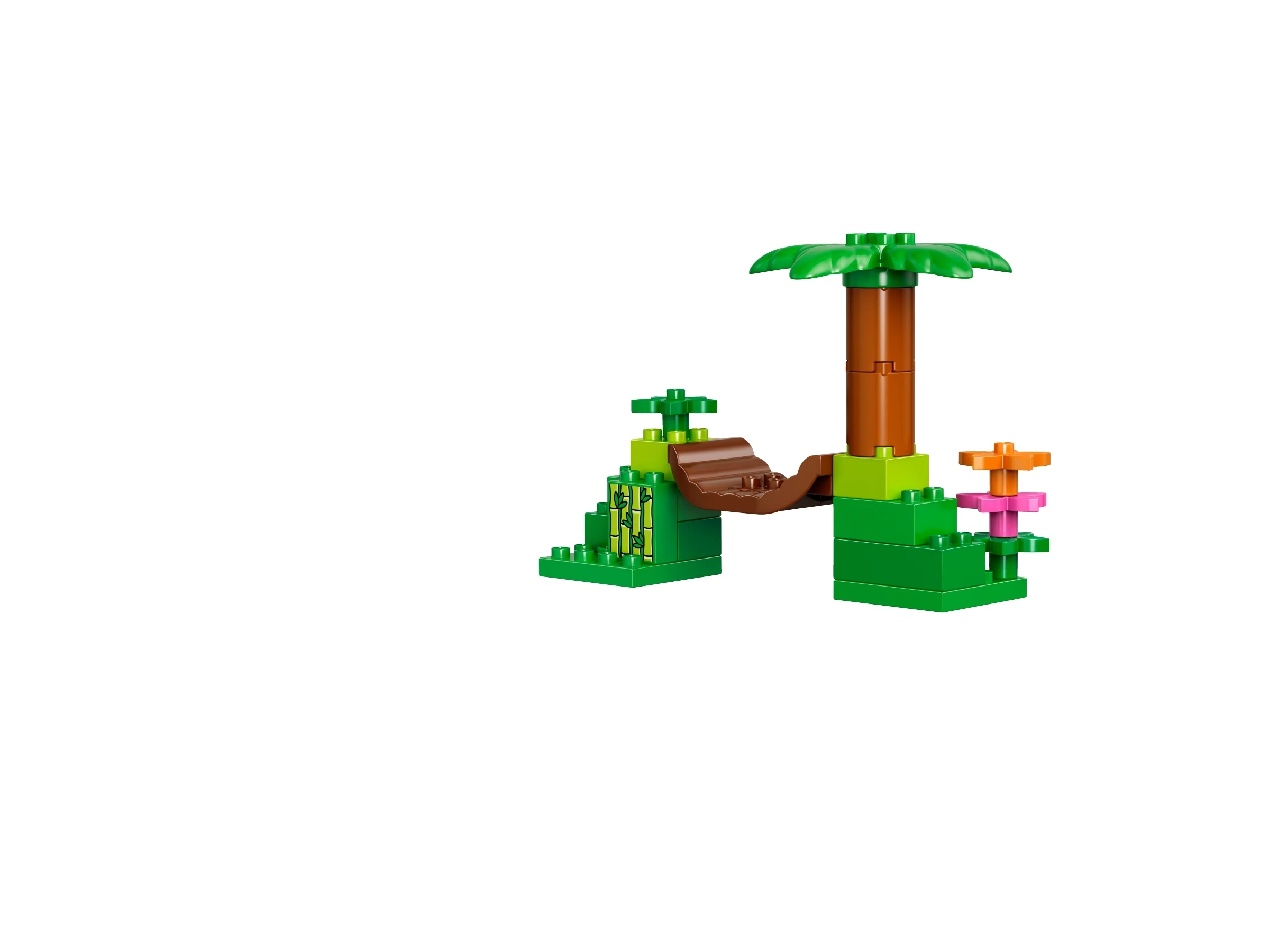 Jungle - Image 9