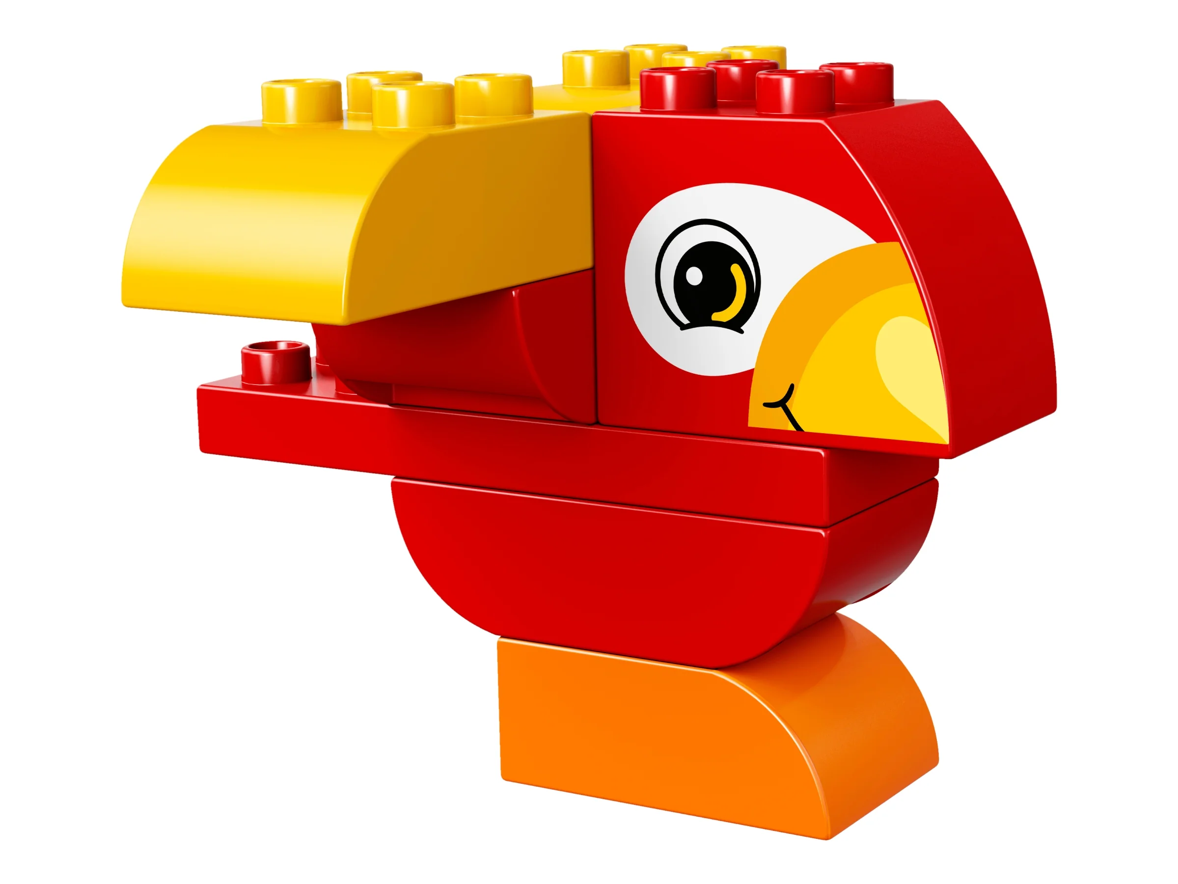 My First Parrot - Image 3