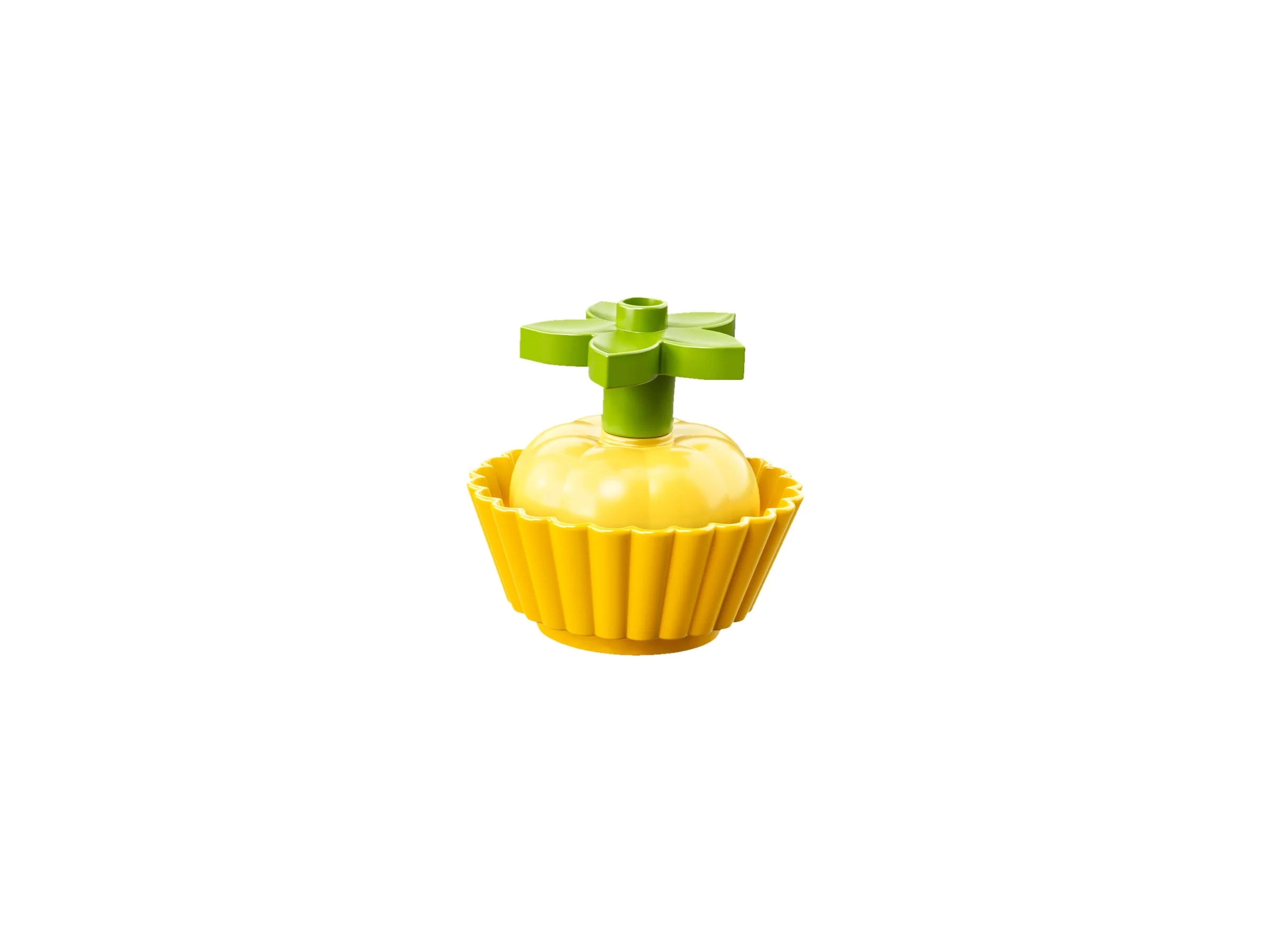 My First Celebration - Image 7