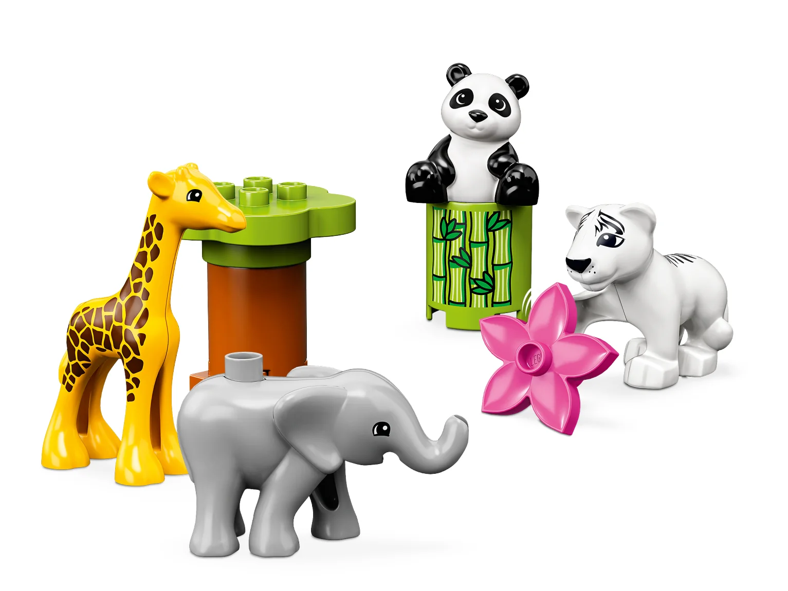 Baby Animals - Image 3