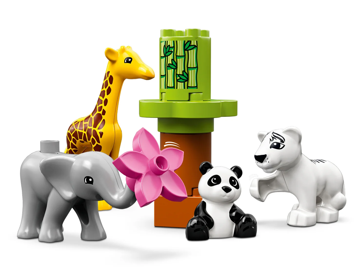 Baby Animals - Image 4