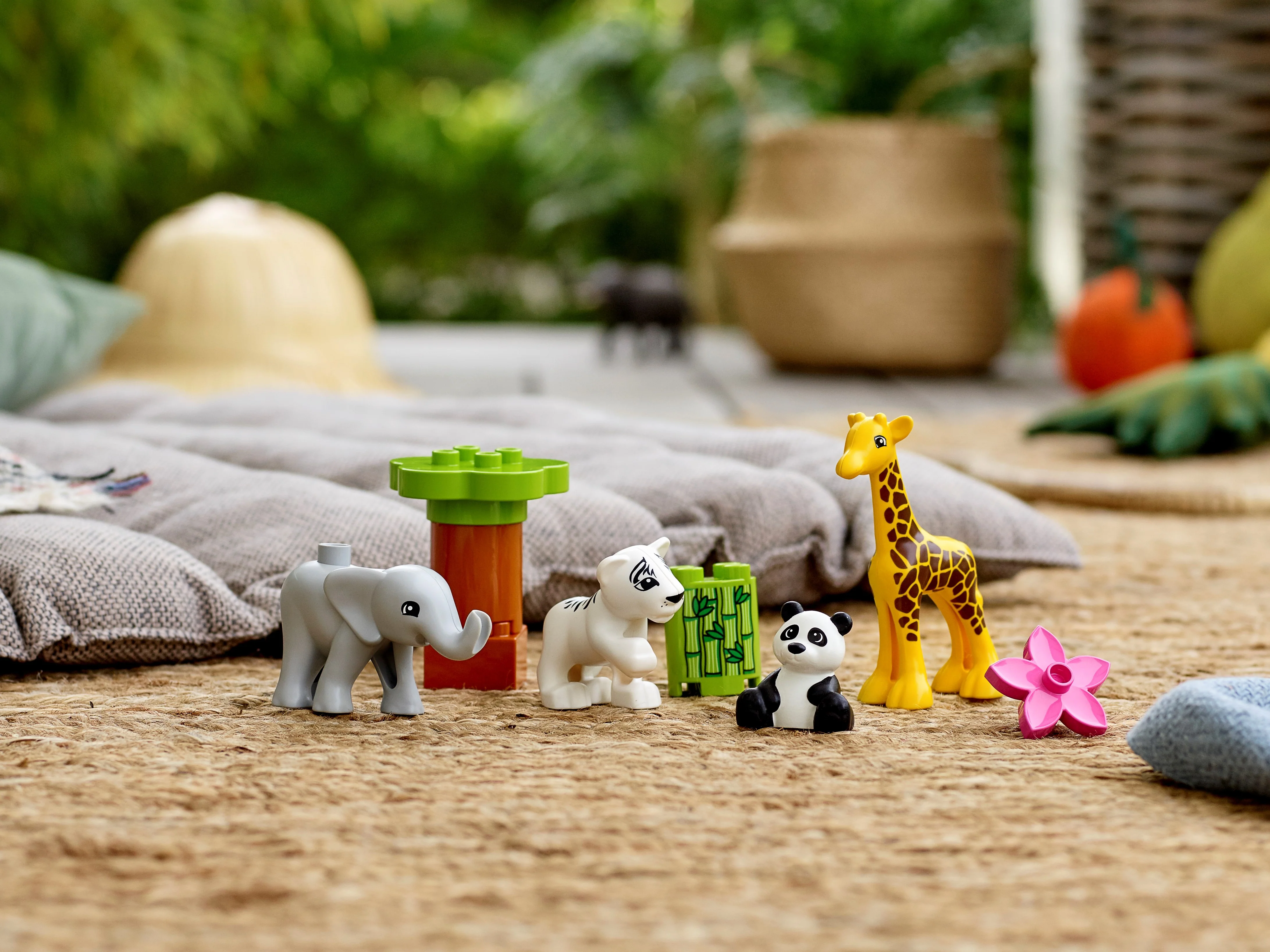 Baby Animals - Image 8