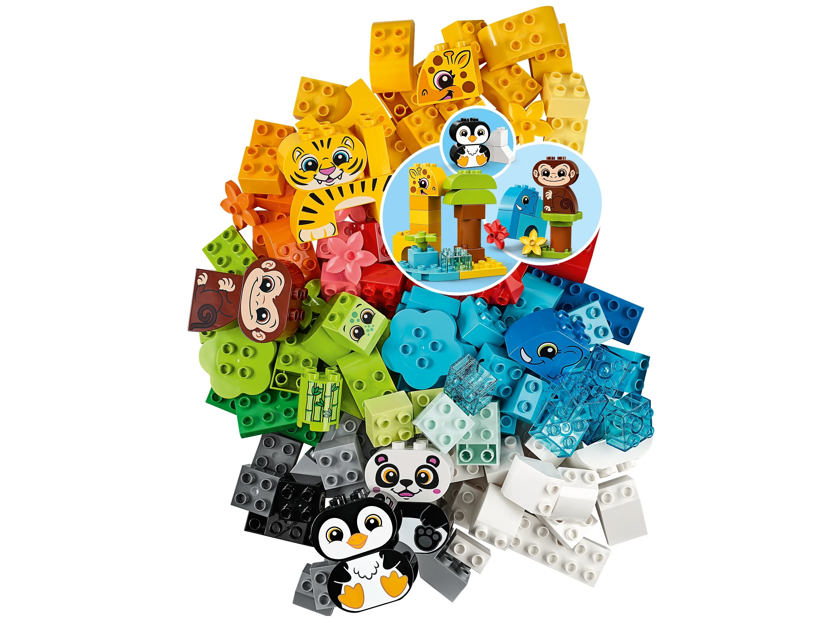 Creative Animals - Image 3