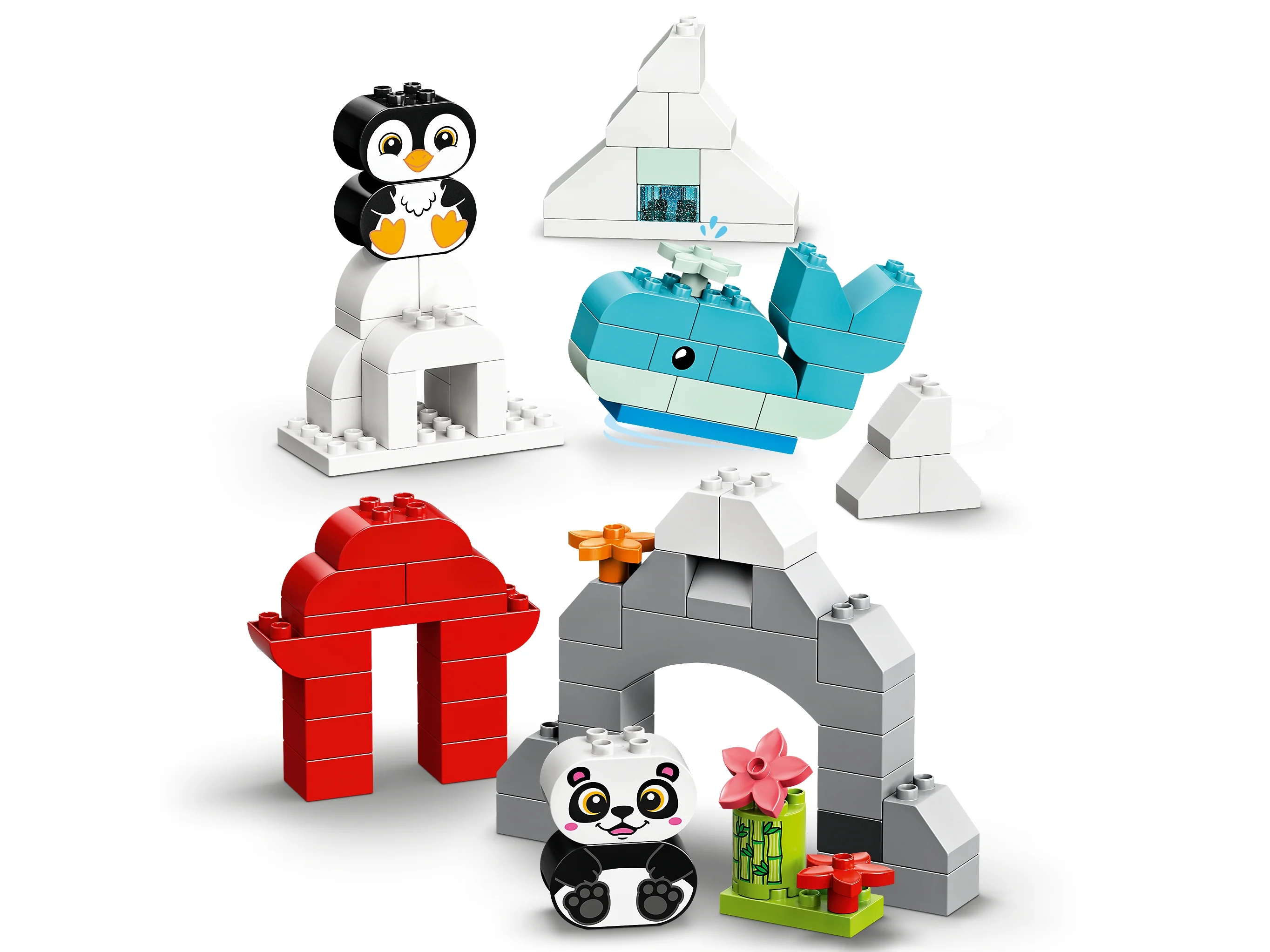 Creative Animals - Image 4