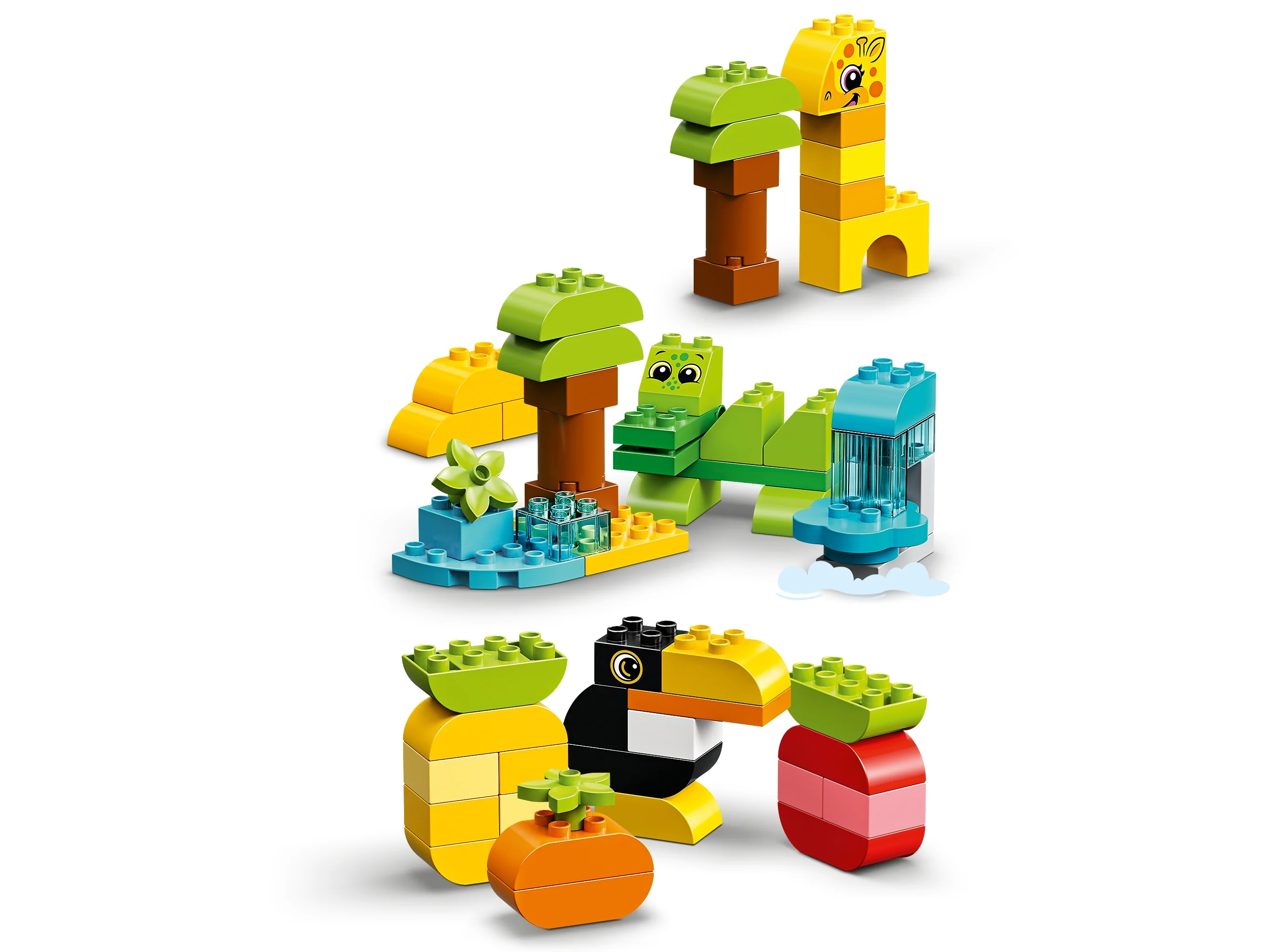 Creative Animals - Image 5