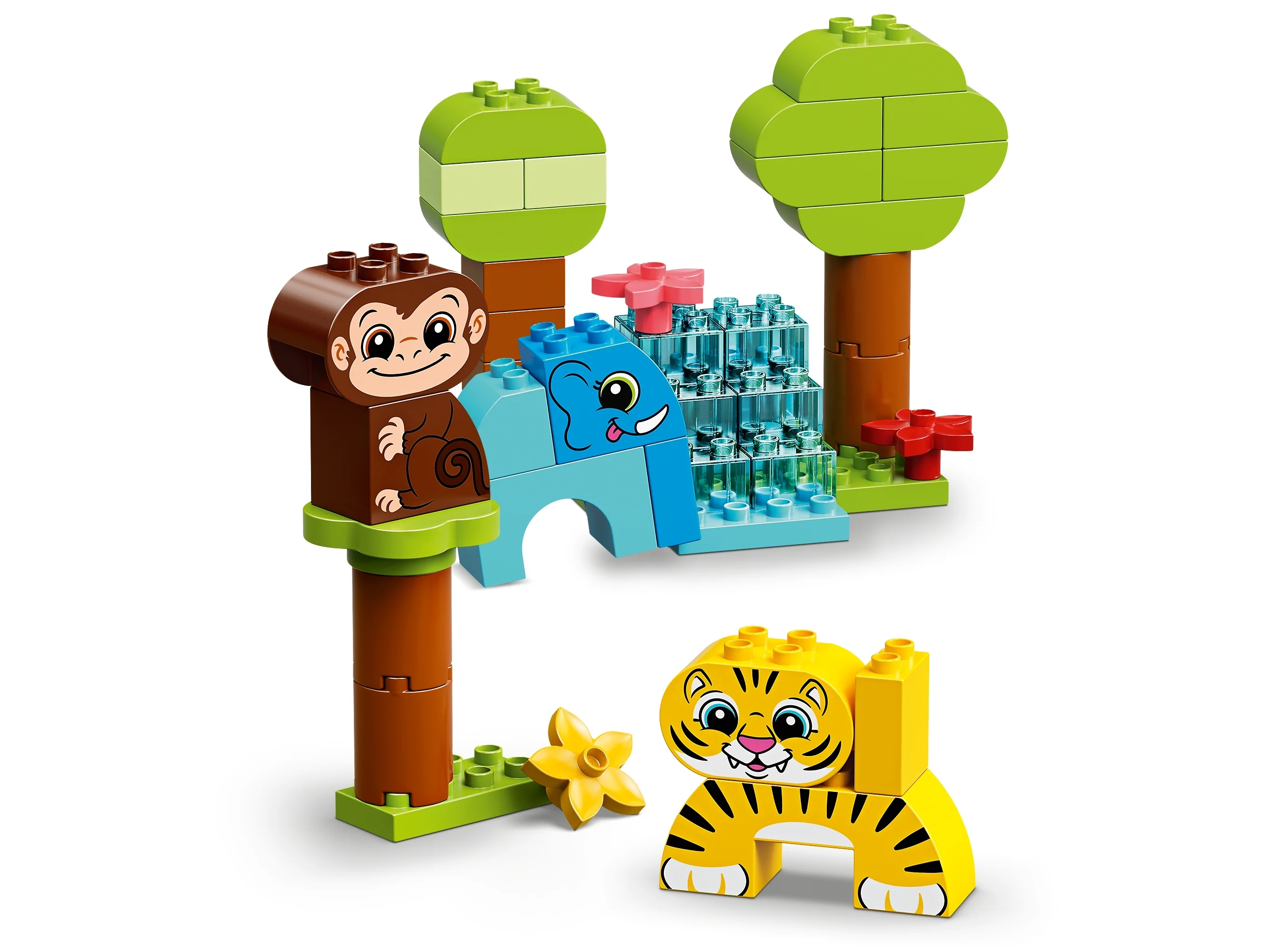 Creative Animals - Image 6