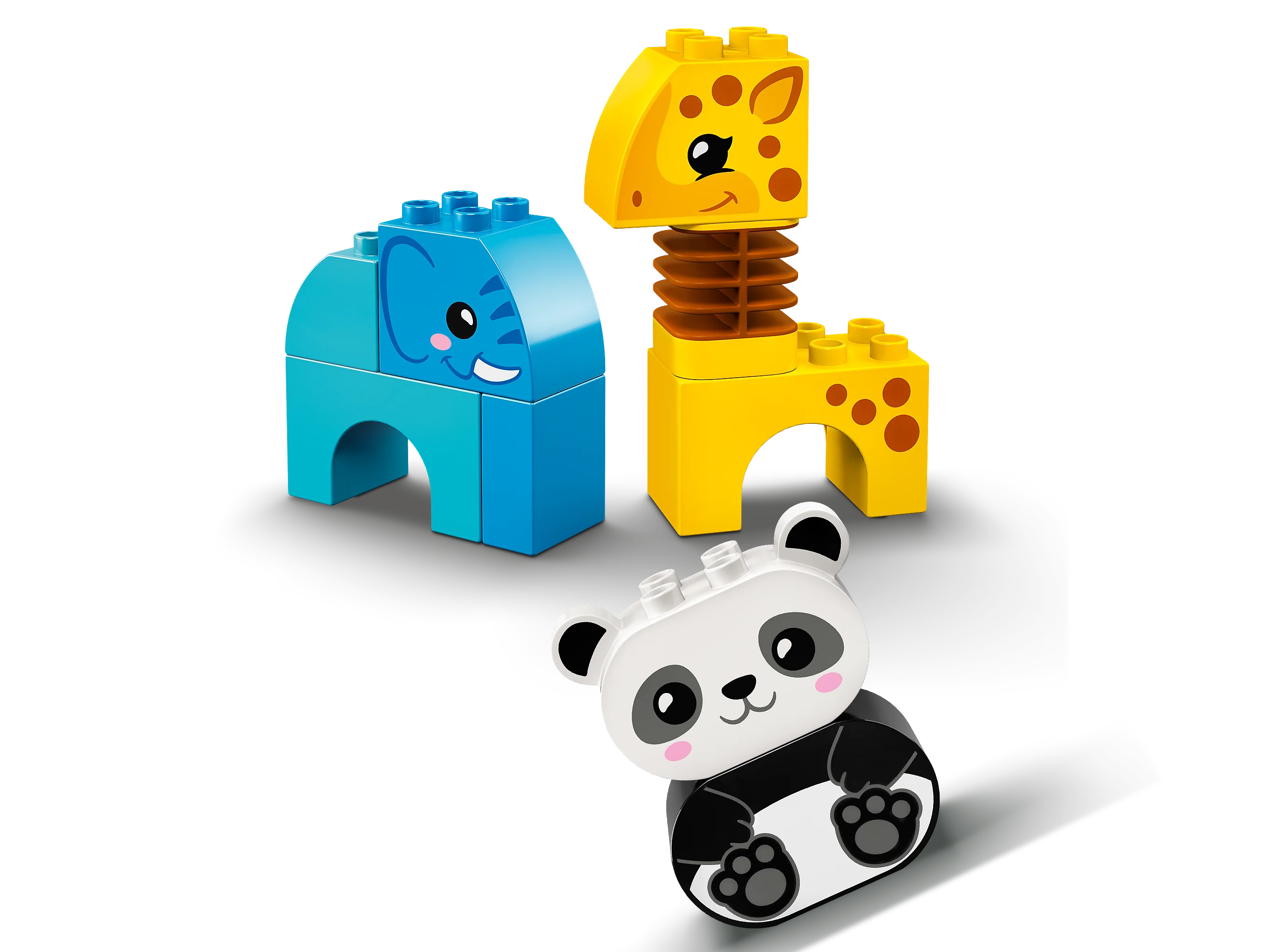 Animal Train - Image 5