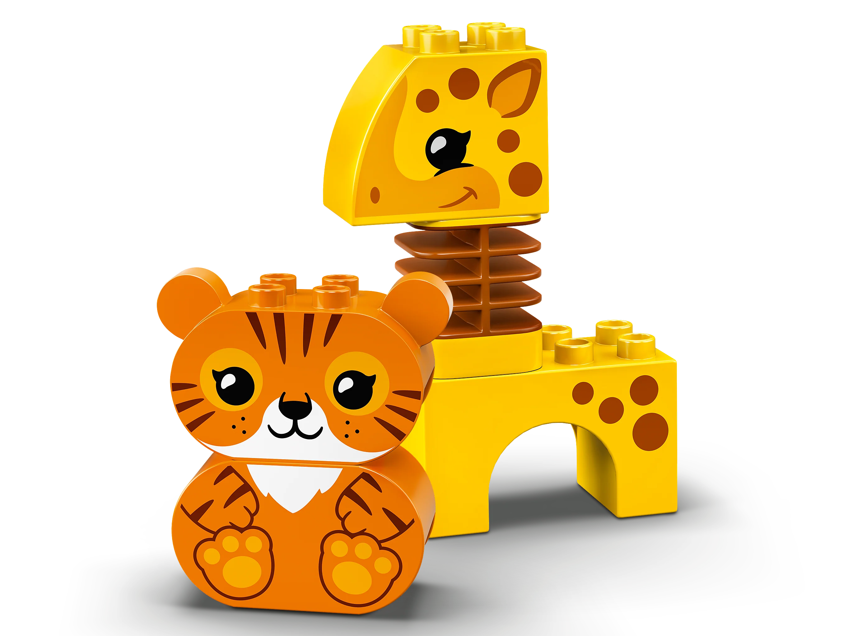 Animal Train - Image 6