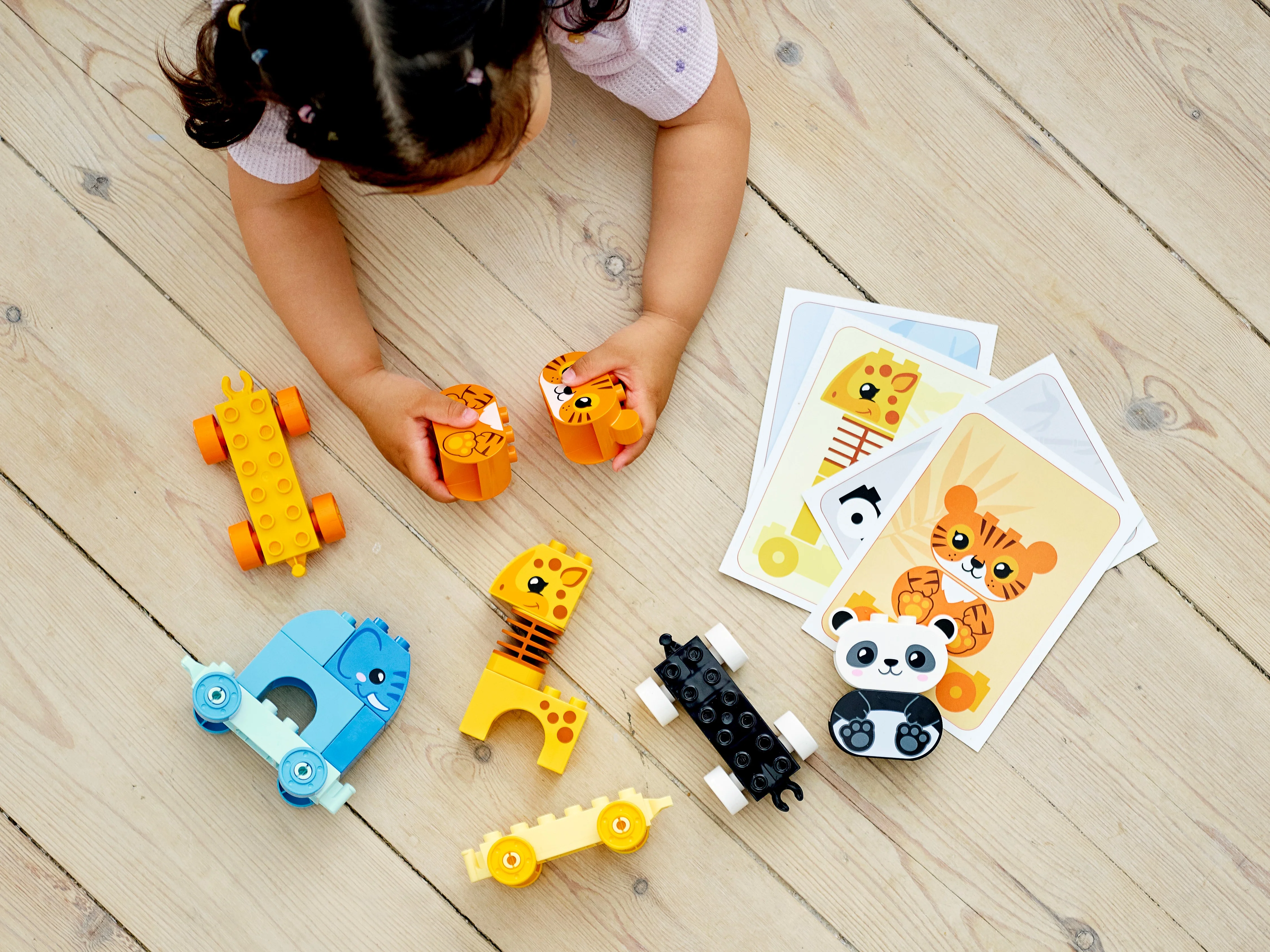 Animal Train - Image 8
