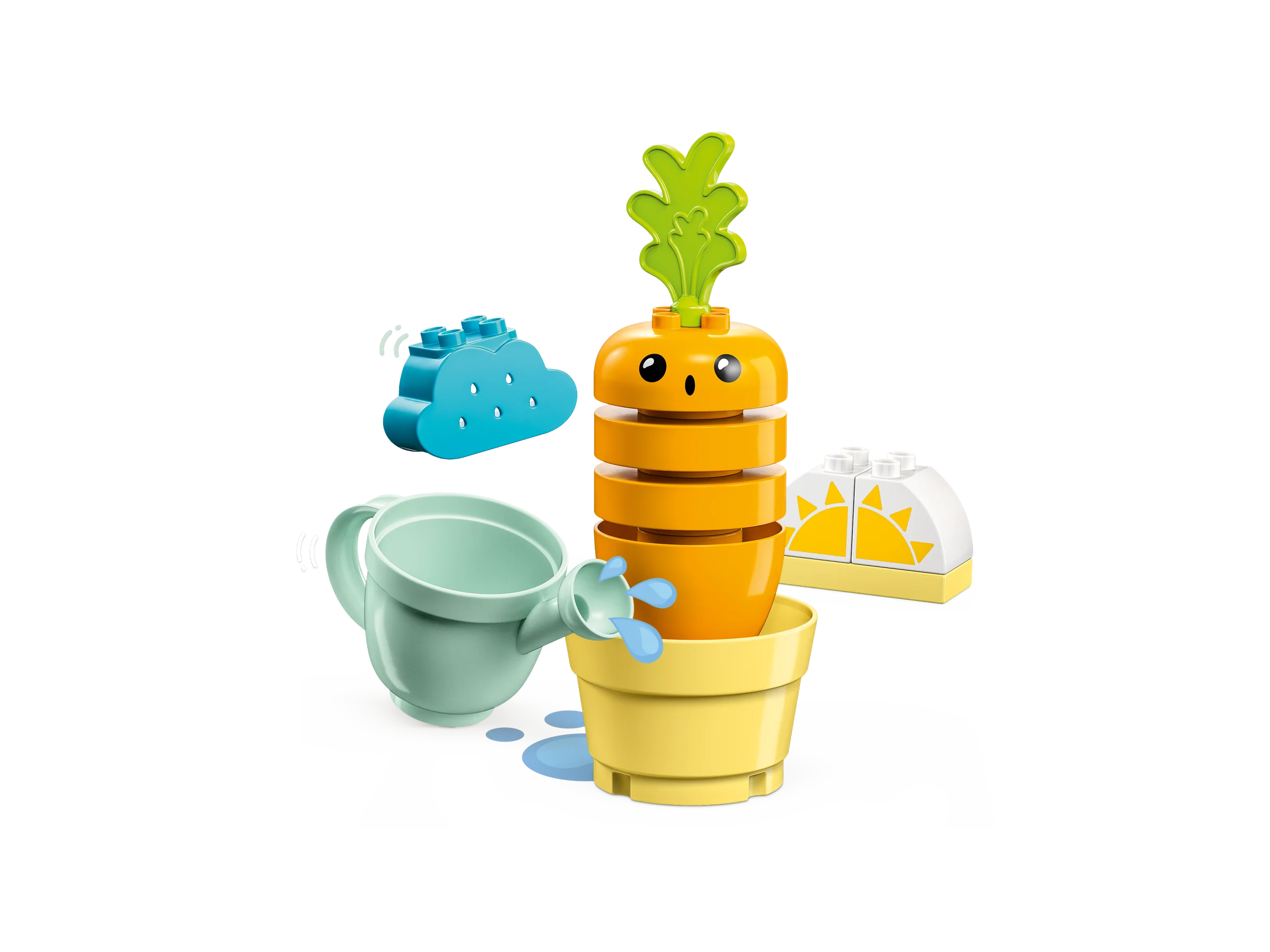 Growing Carrot - Image 3