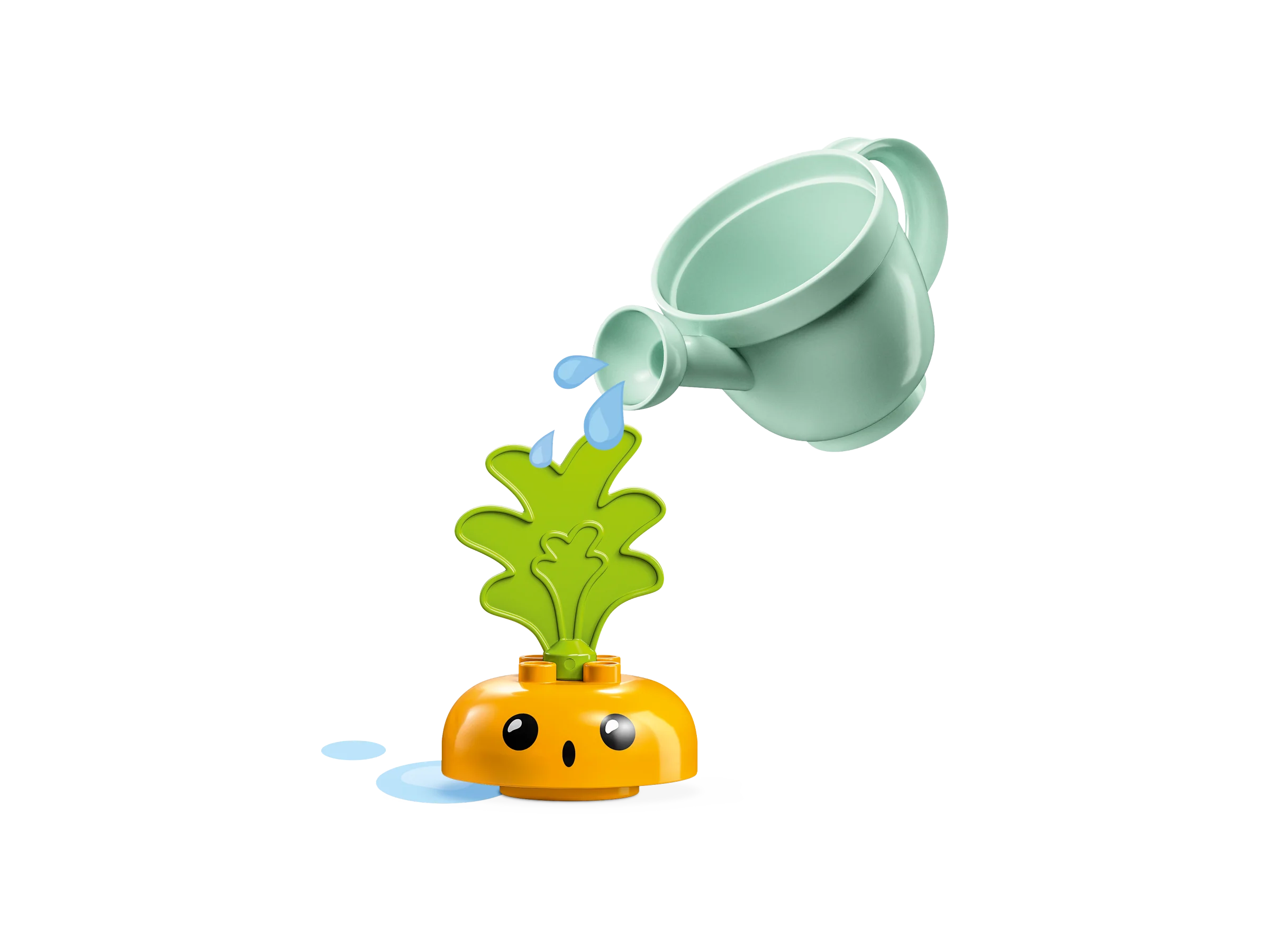Growing Carrot - Image 5
