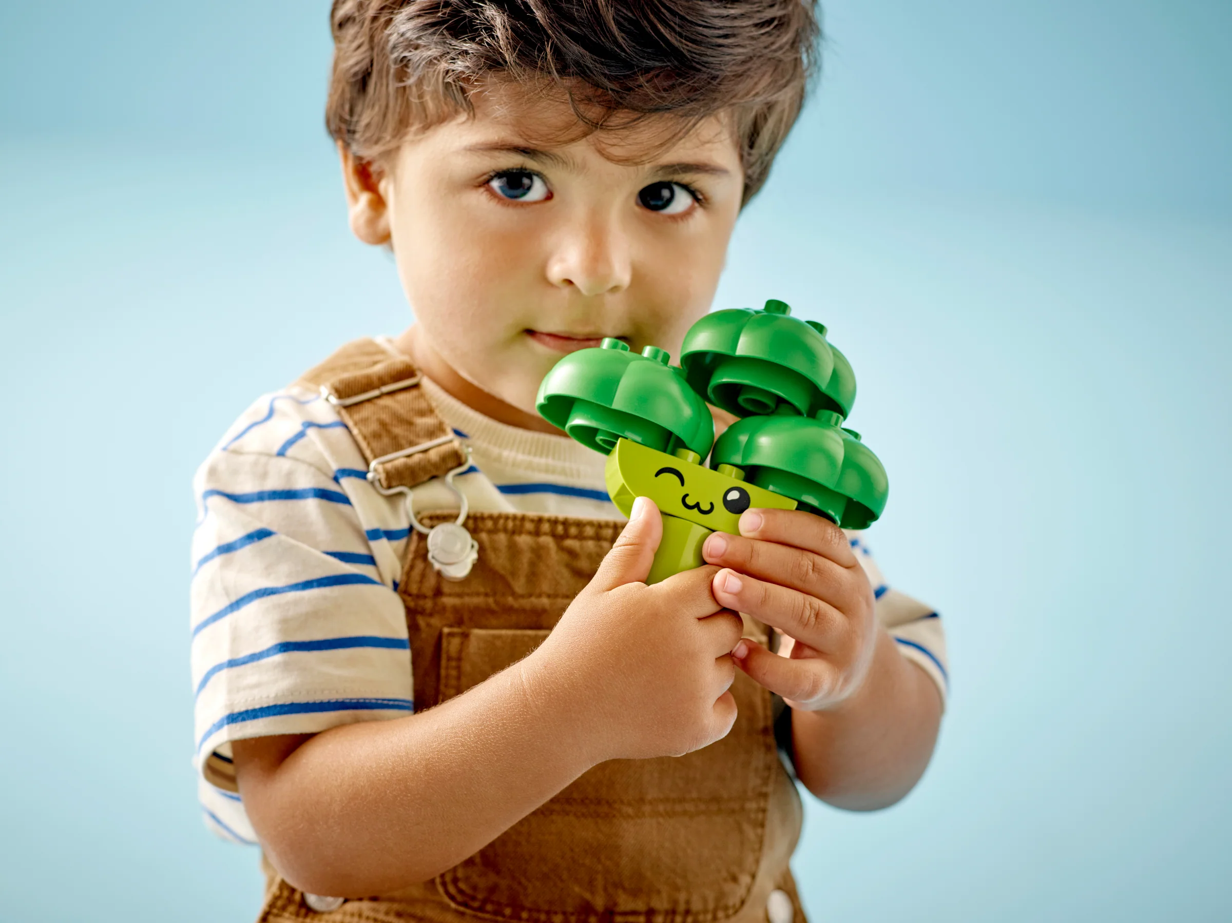 Fruit and Vegetable Tractor - Image 7