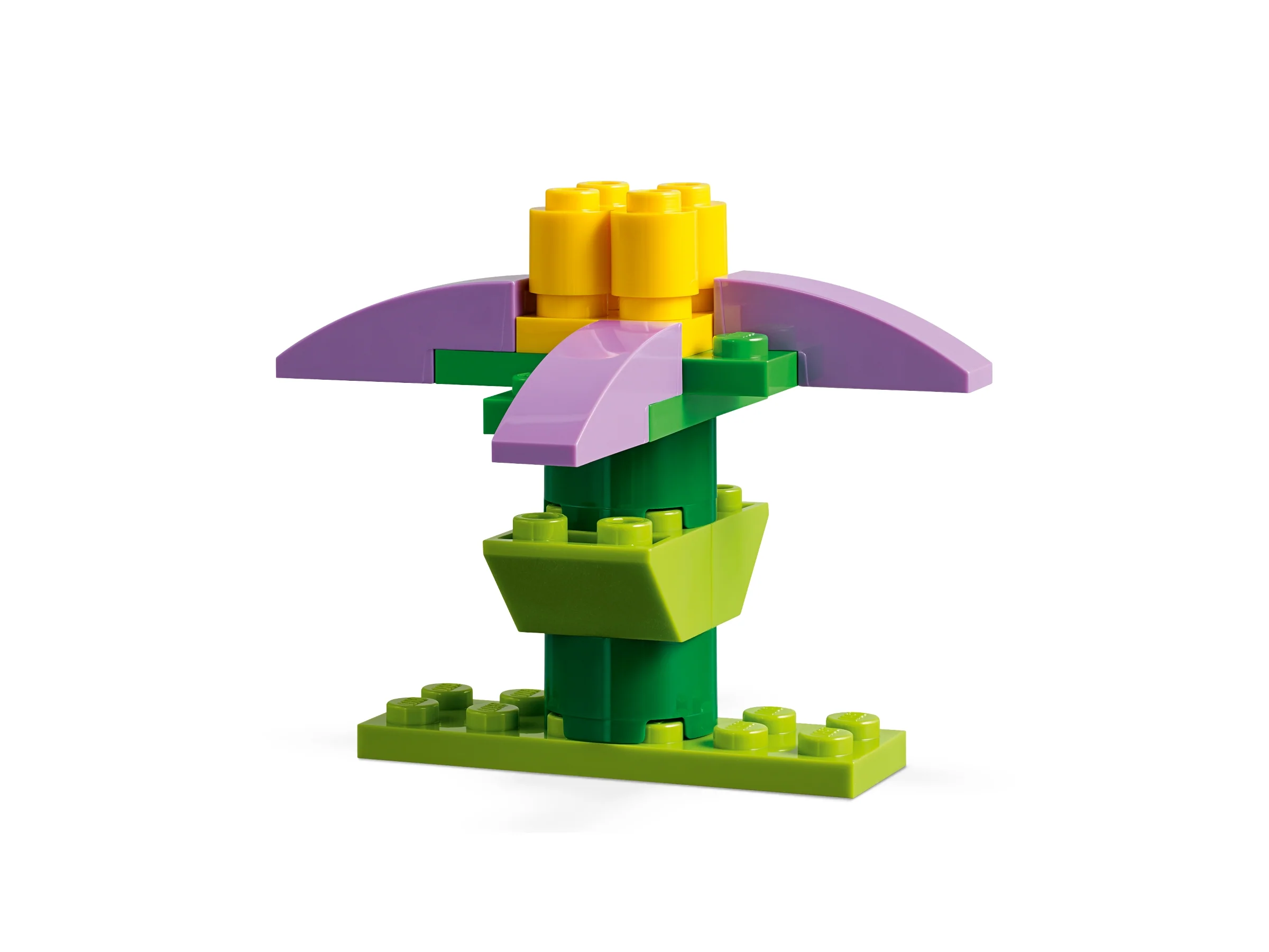Creative Fun - Image 7
